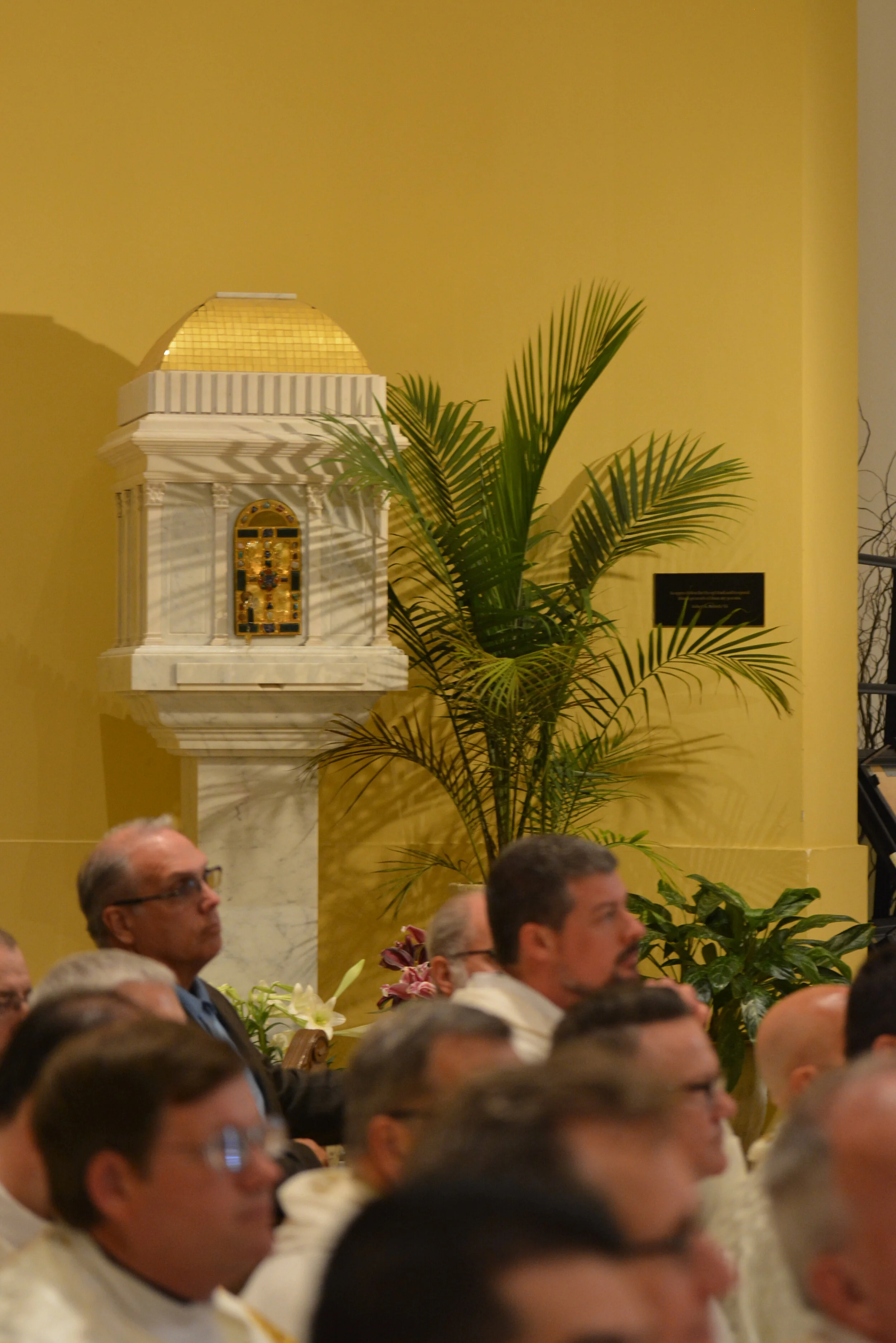 (2019.04.29) SJV 50th Anniversary - 63.jpeg