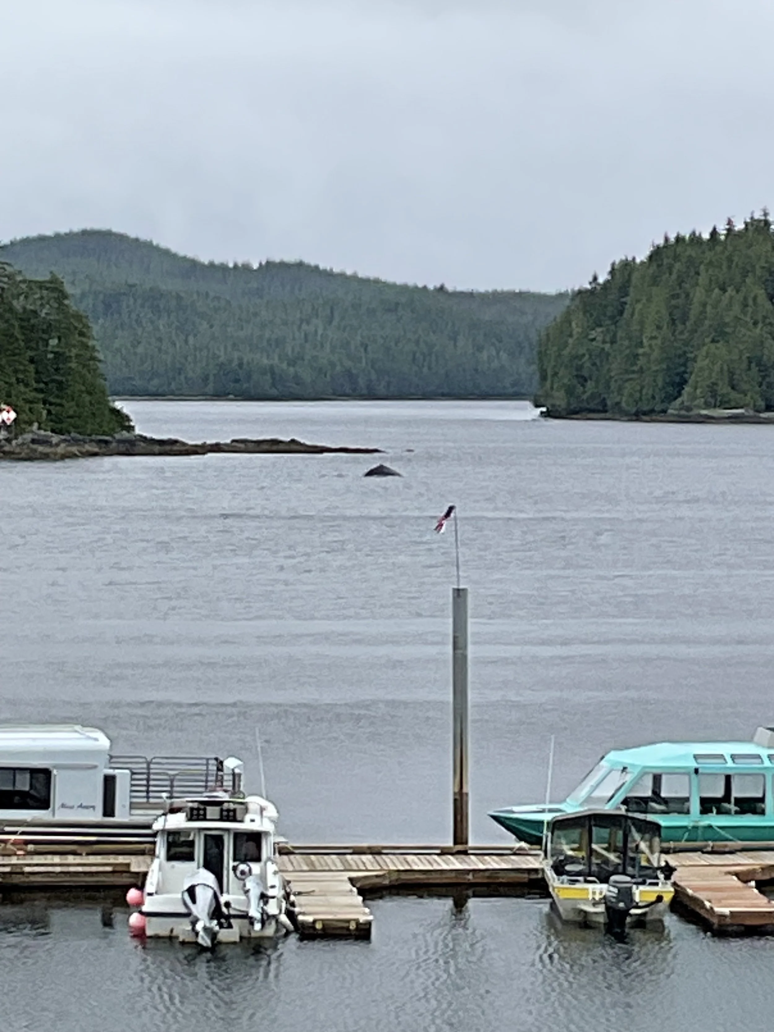 View from Airbnb.jpg
