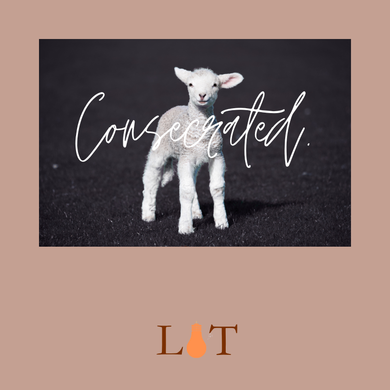 A New One: Consecrated