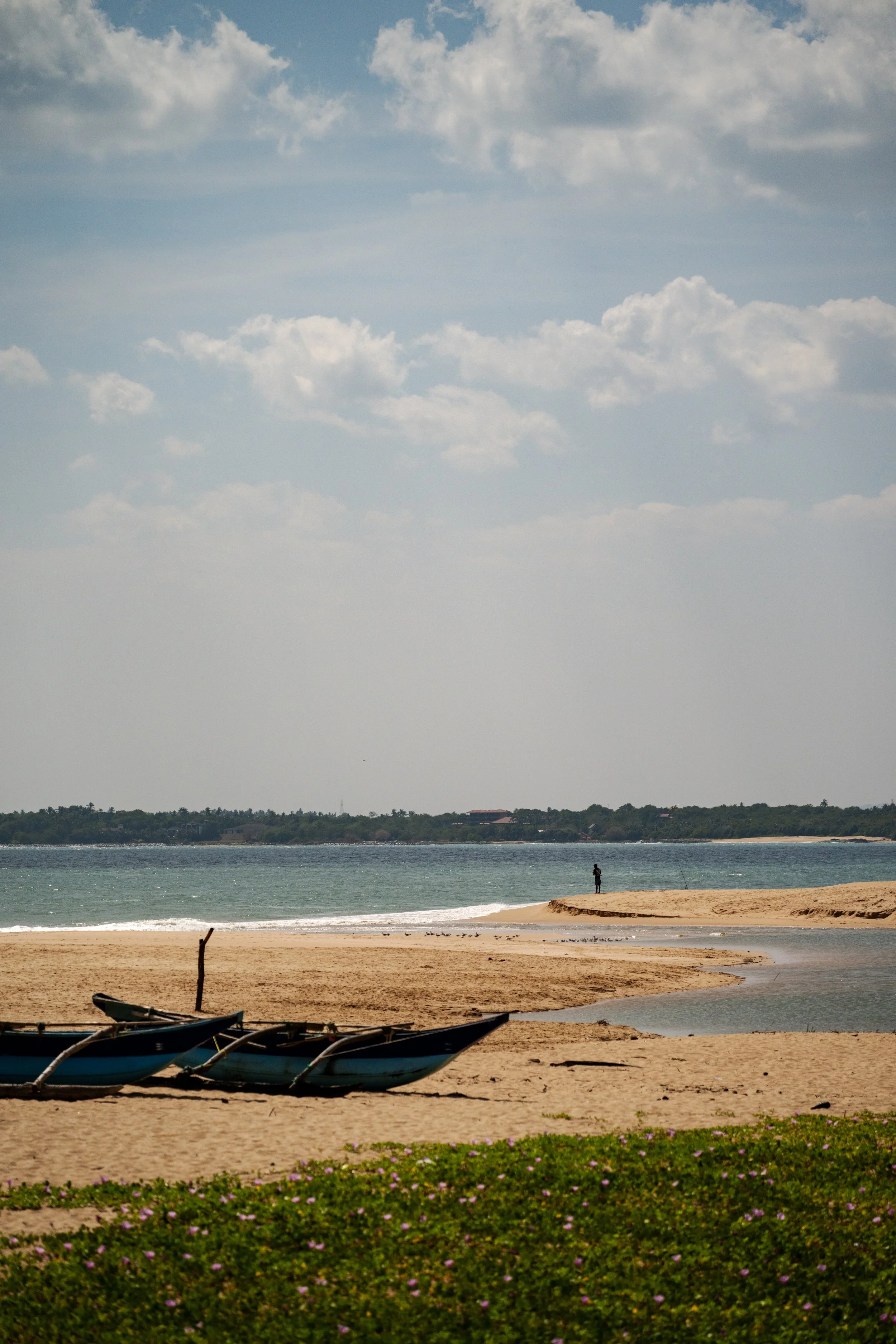 DSC_9446.jpg