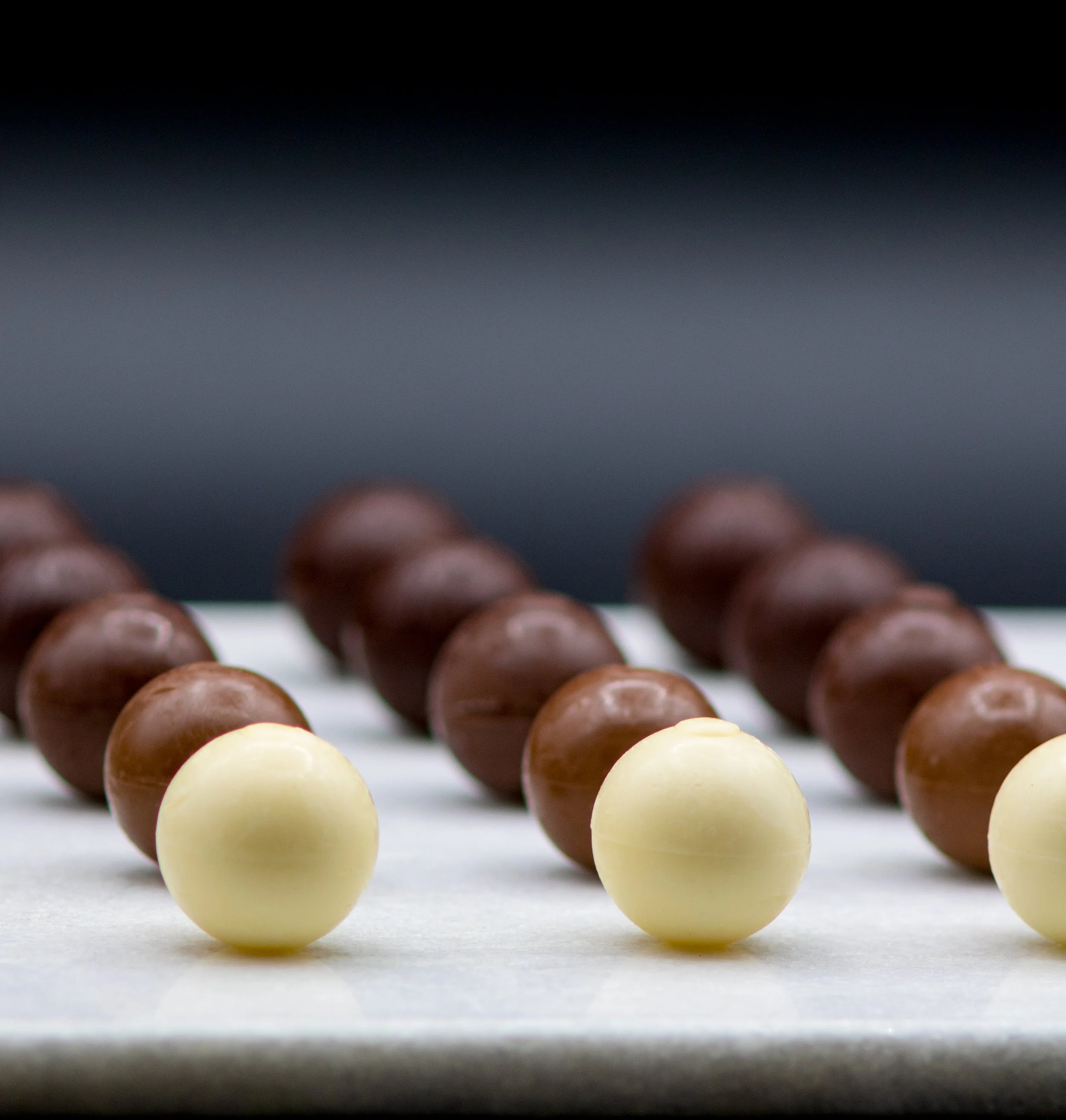 Copy of Copy of IMG_8973.jpg