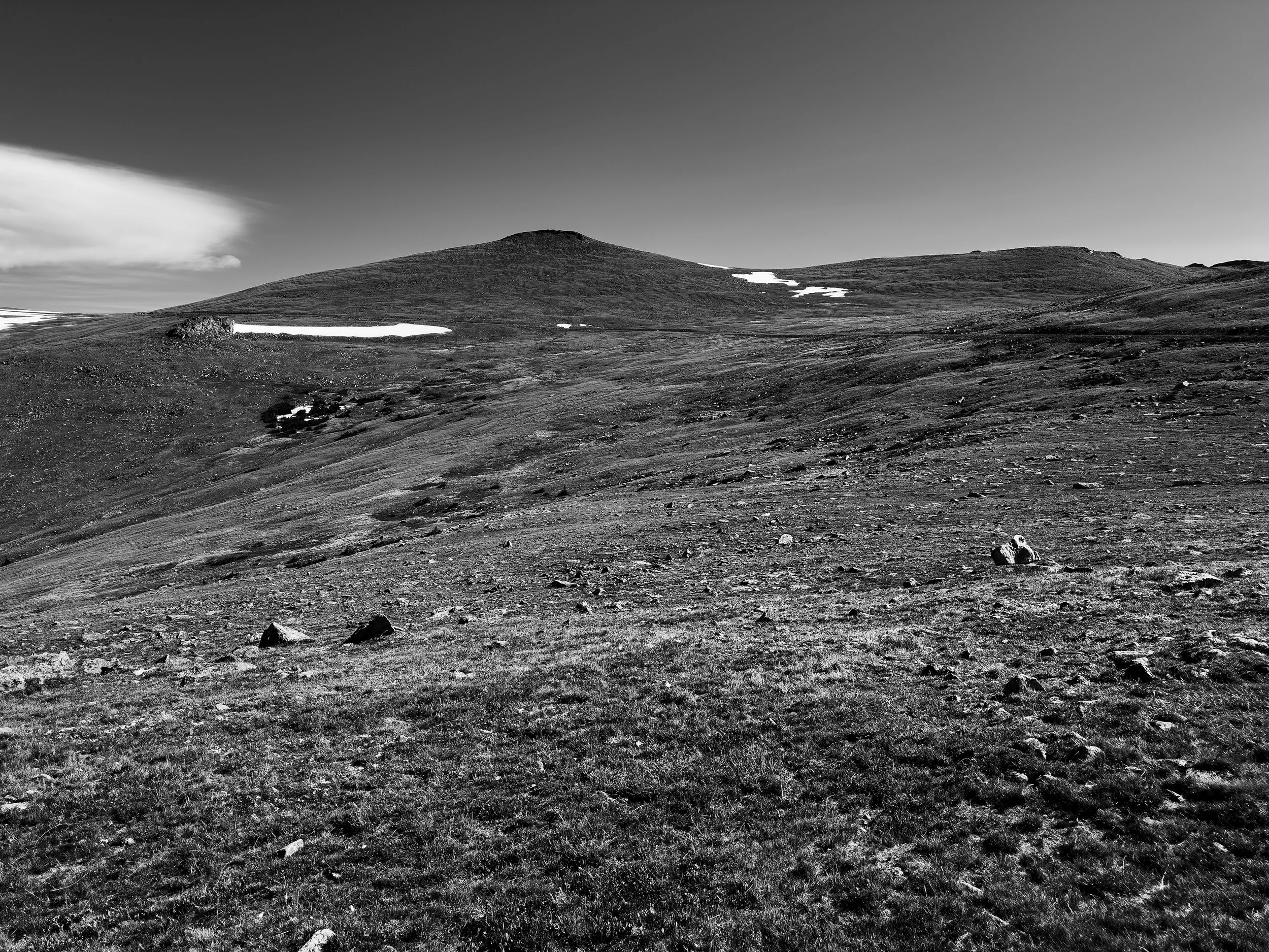 Tundra, Rocky Mountain National Park