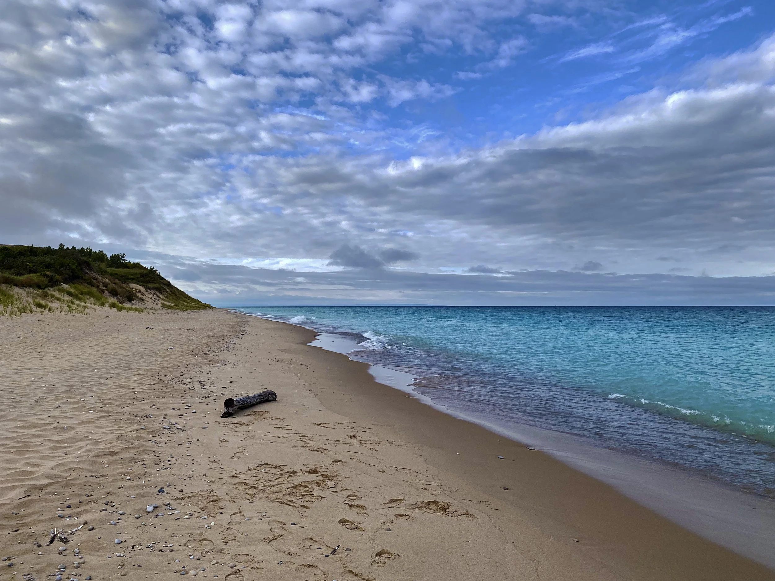 Michigan, 2024