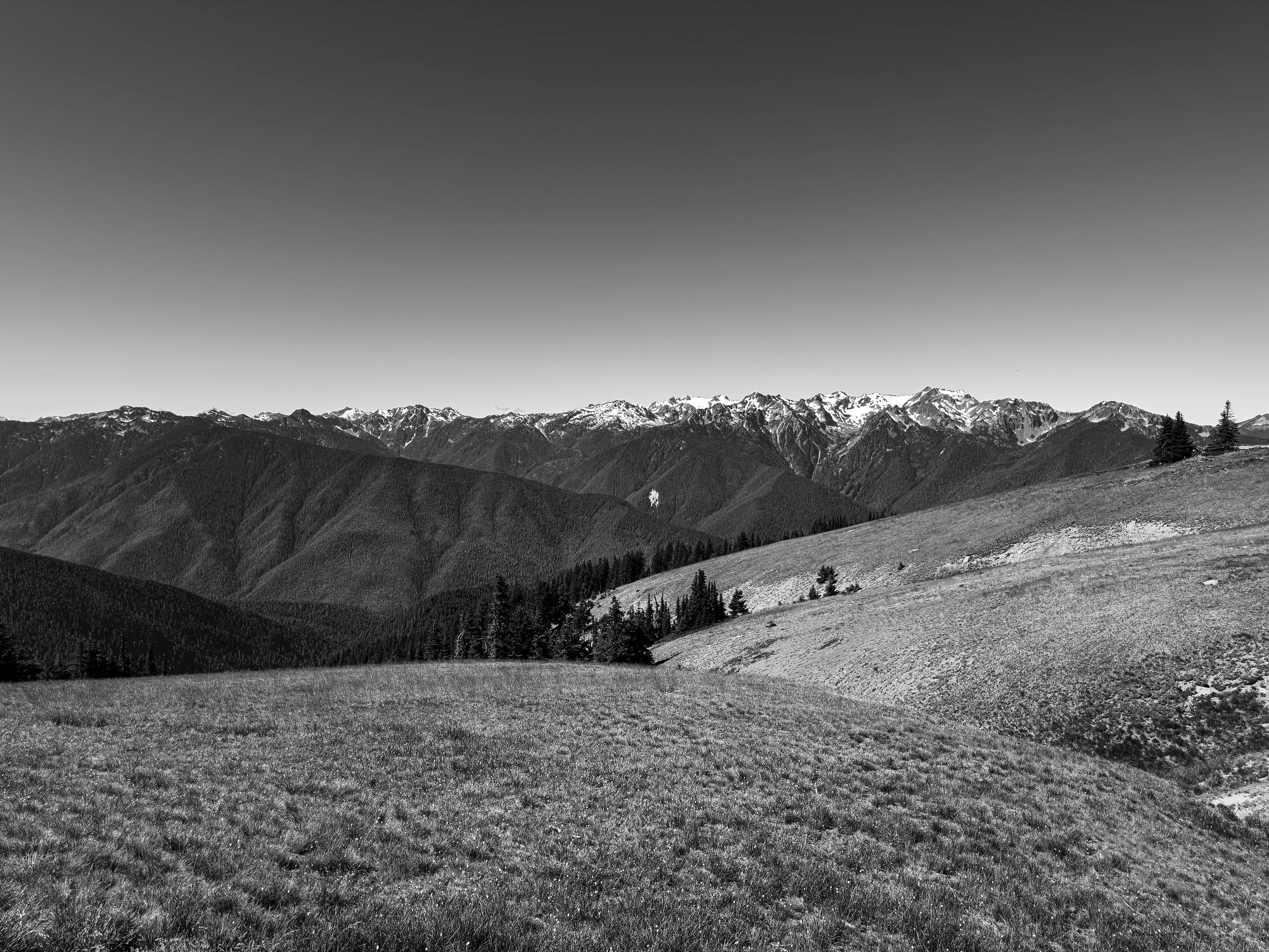 Hurricane Ridge, Olympic National Park