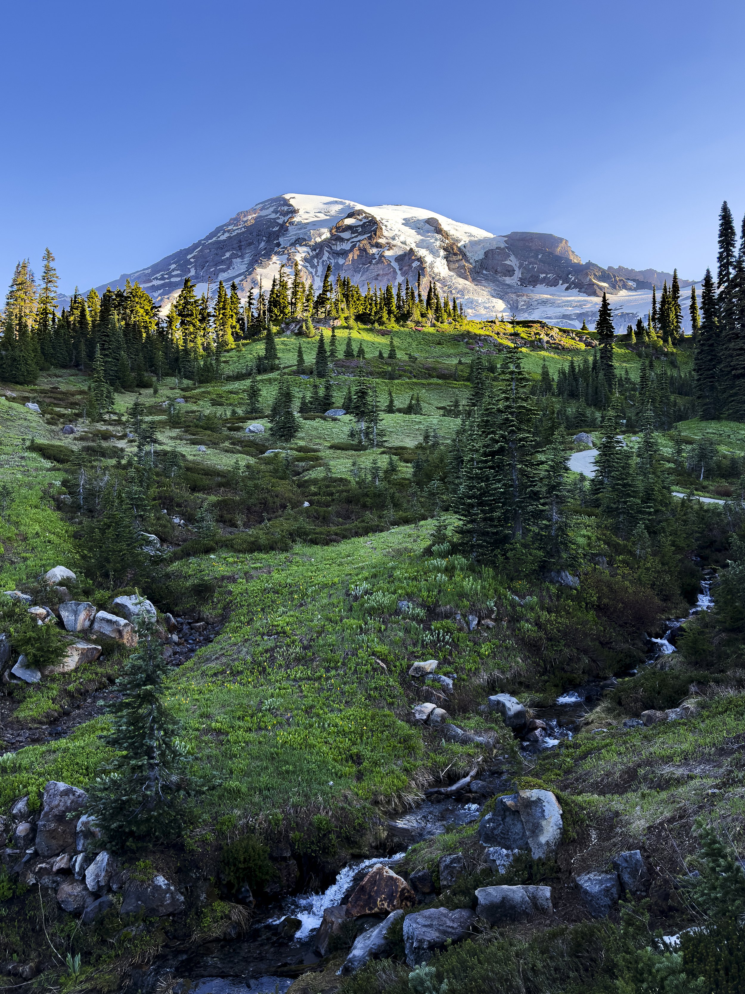 Mount Rainier National Park