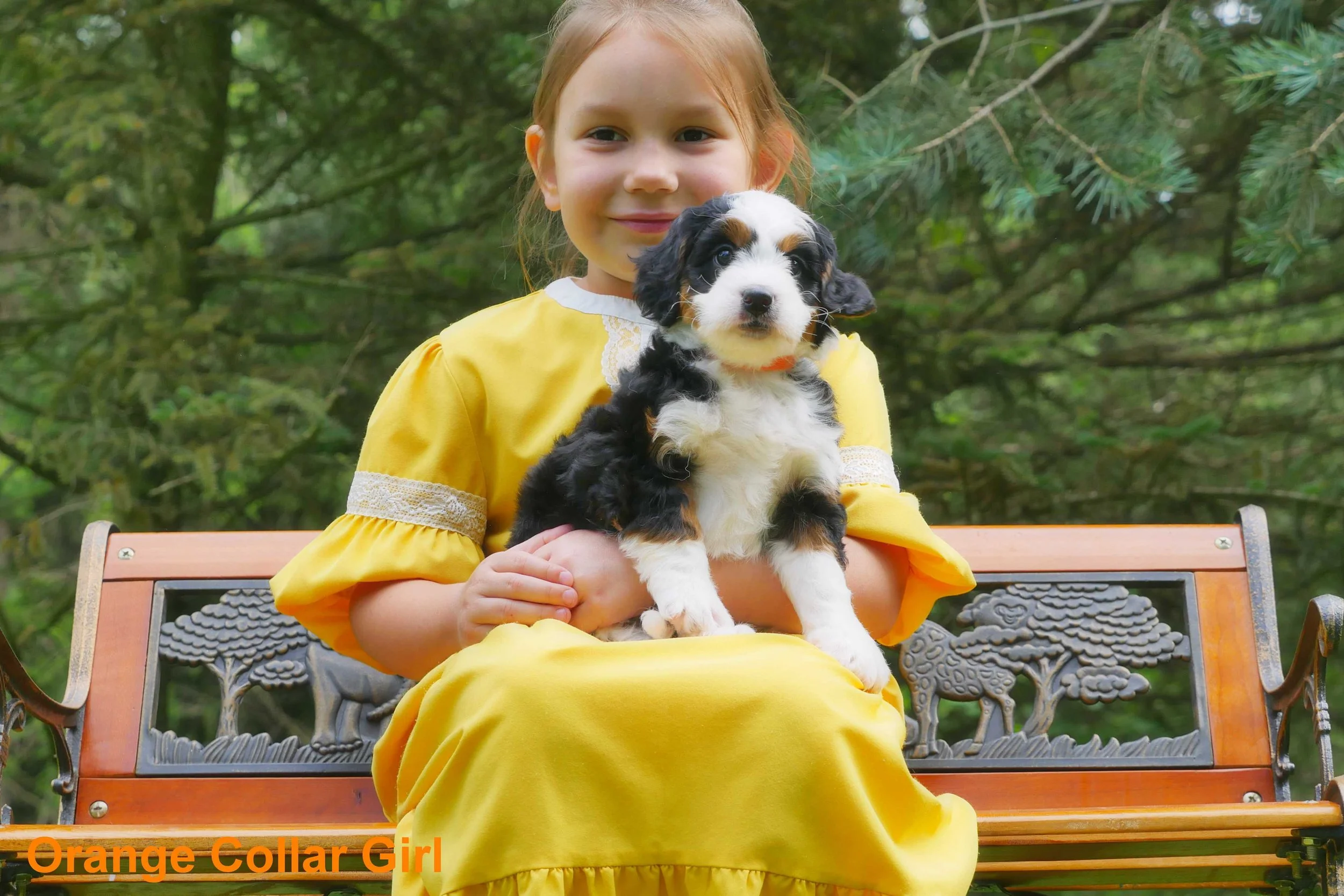 Orange Collar Girl a.jpg