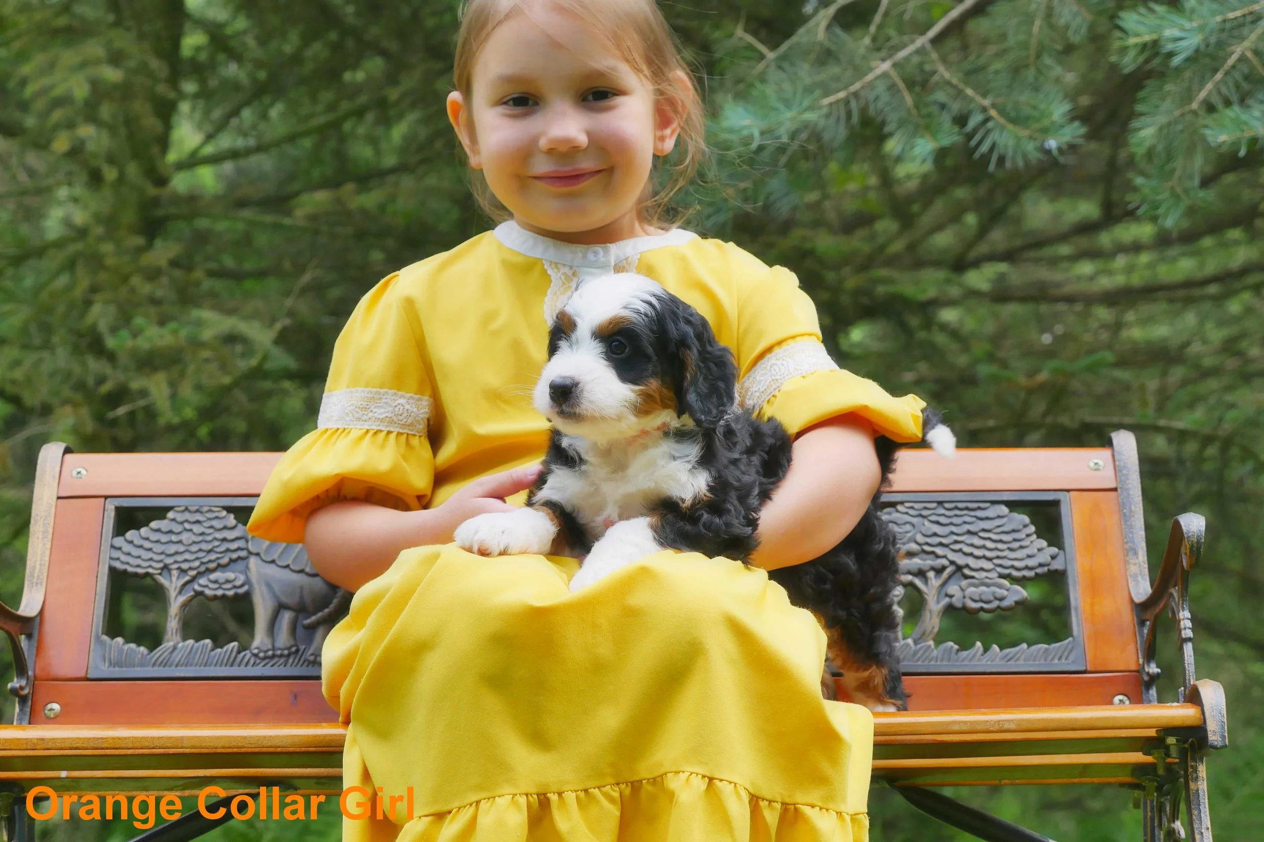 Orange Collar Girl b.jpg