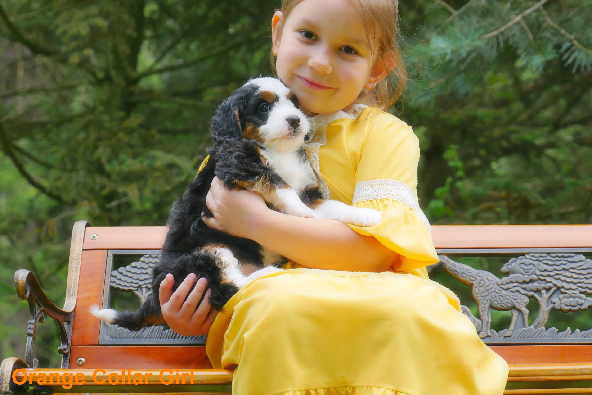 Orange Collar Girl c.jpg