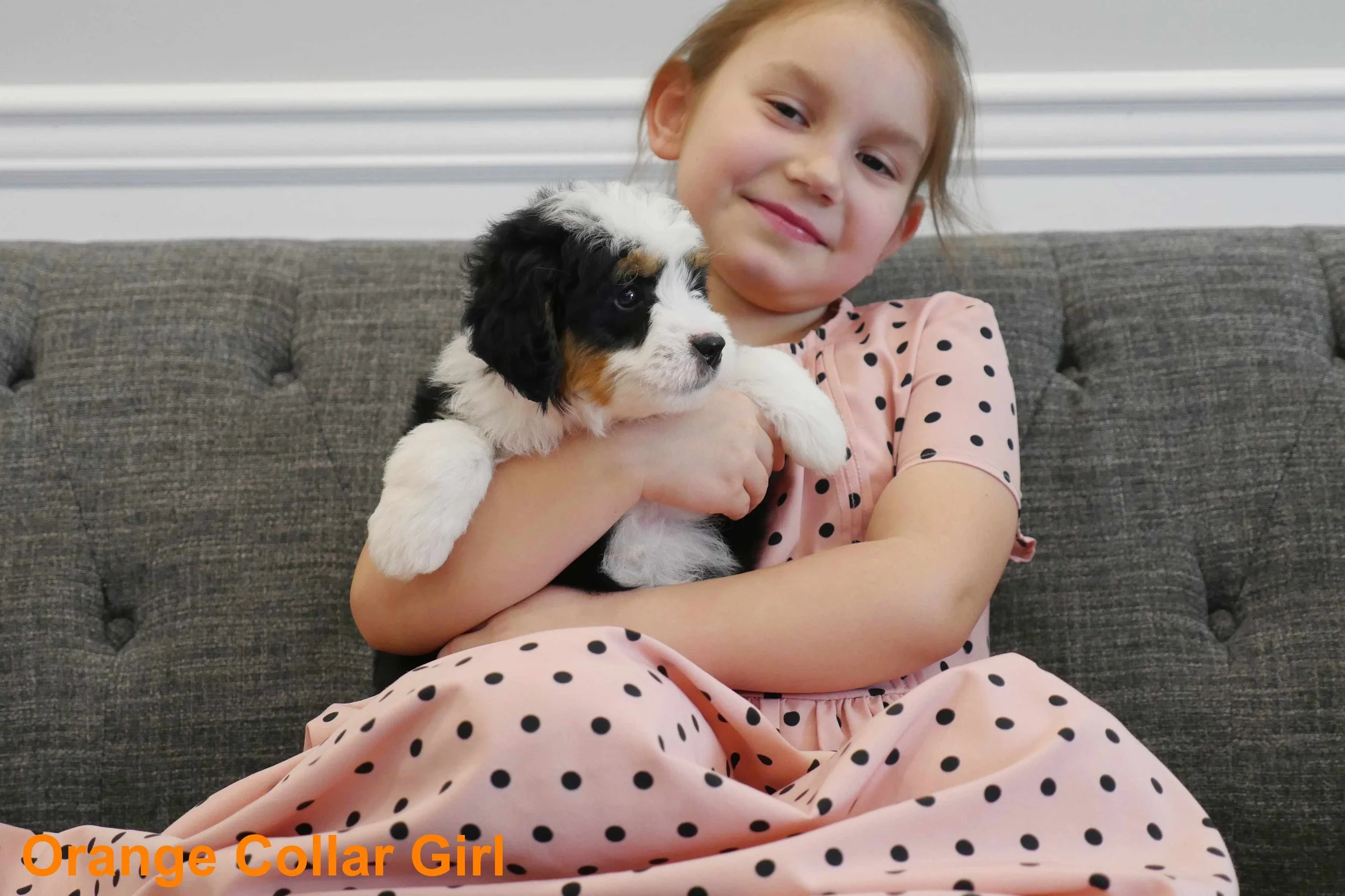 Orange Collar Girl a.jpg