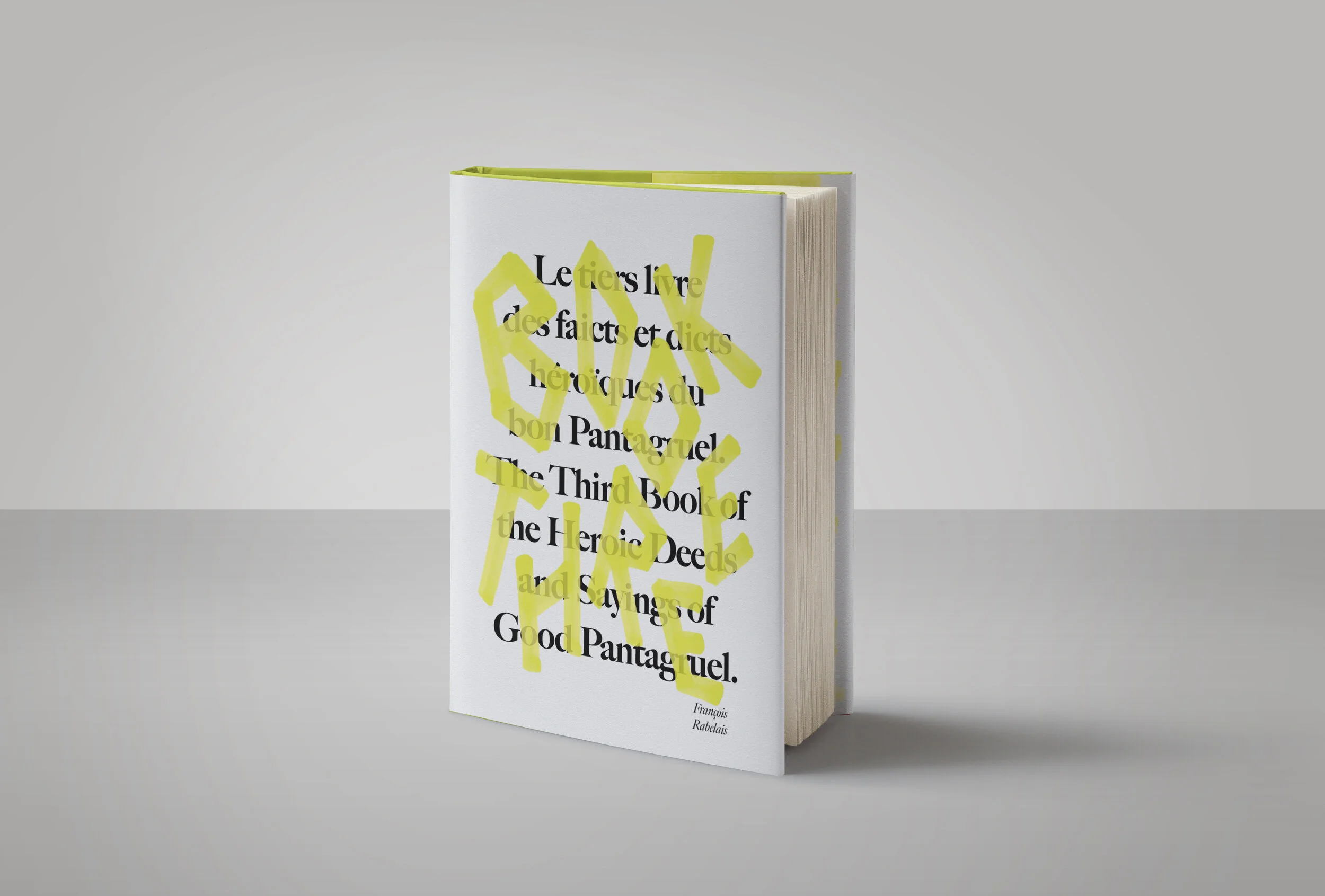 book three cover.jpg