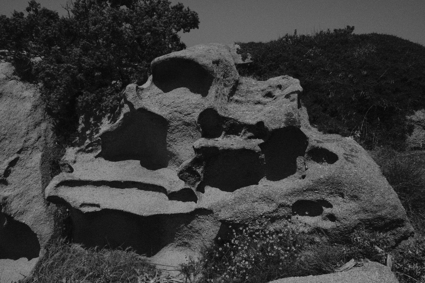 2022_0605_15075700.JPG