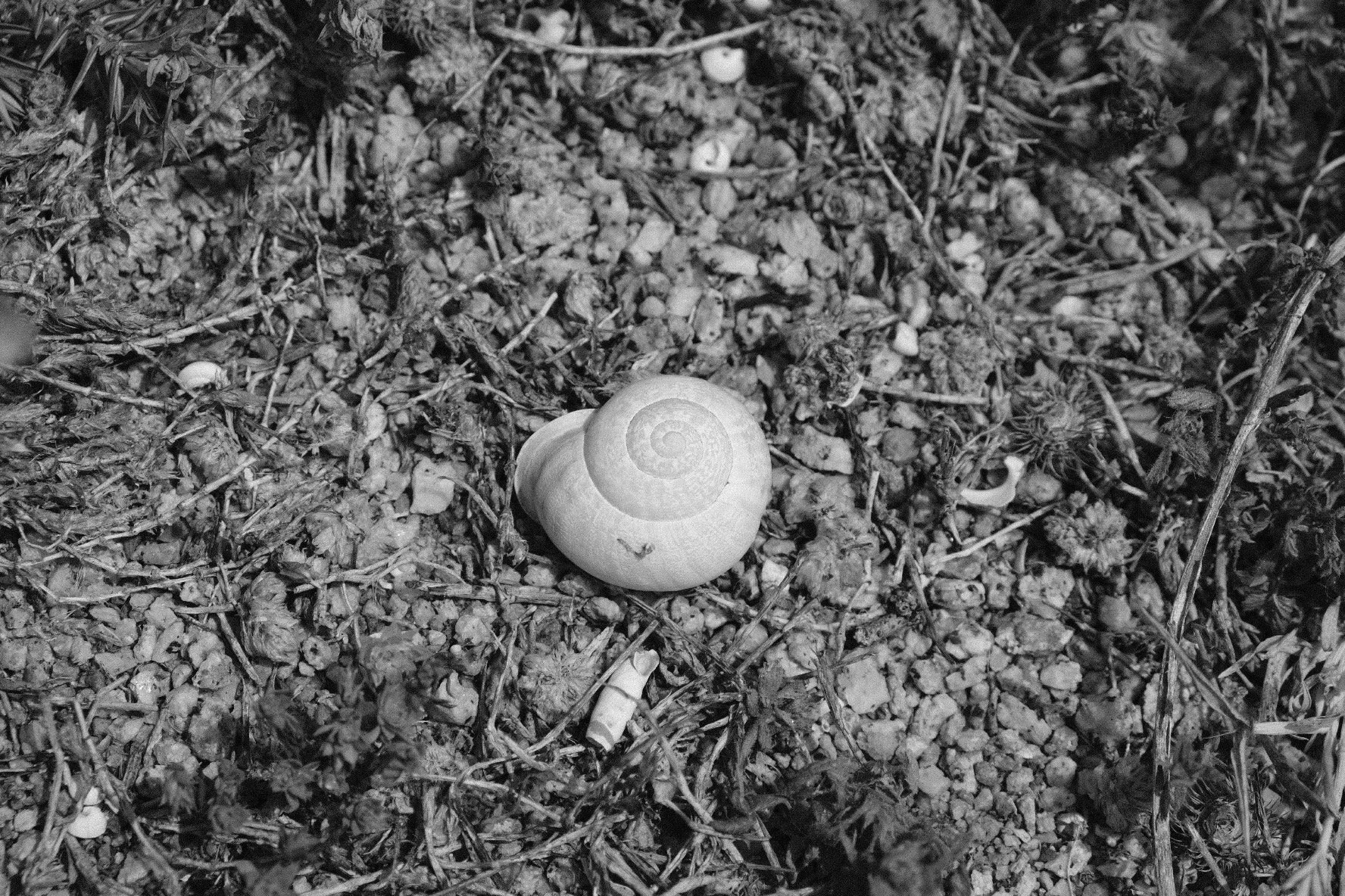 2022_0604_16274700.JPG