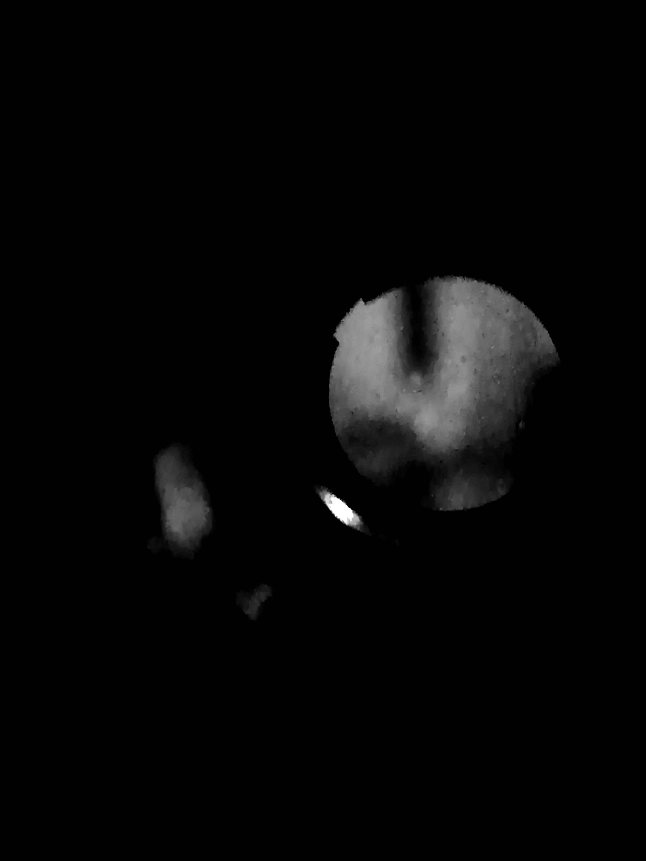 IMG_20201215_200810.JPG