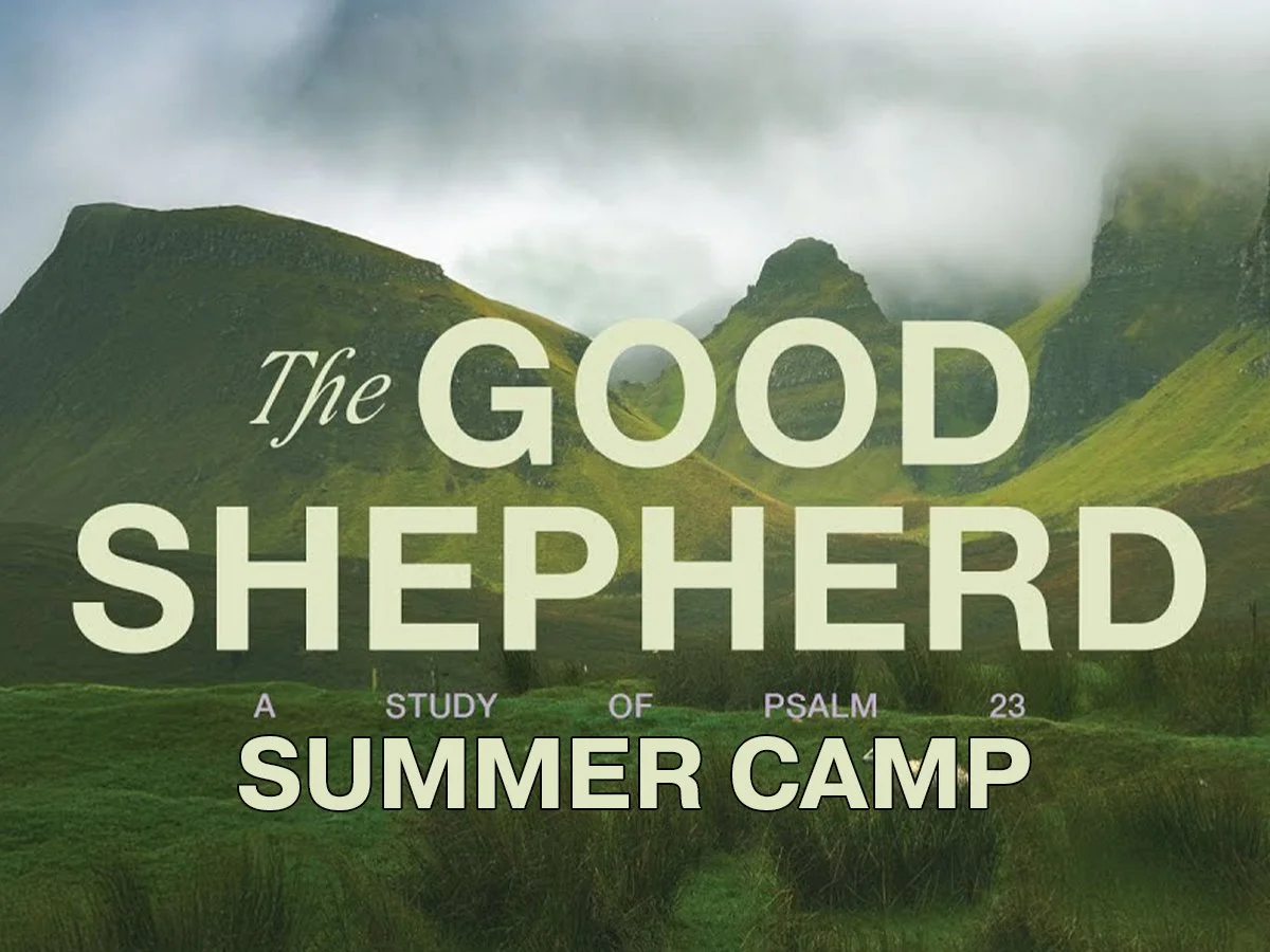 The Ark | Summer Camp