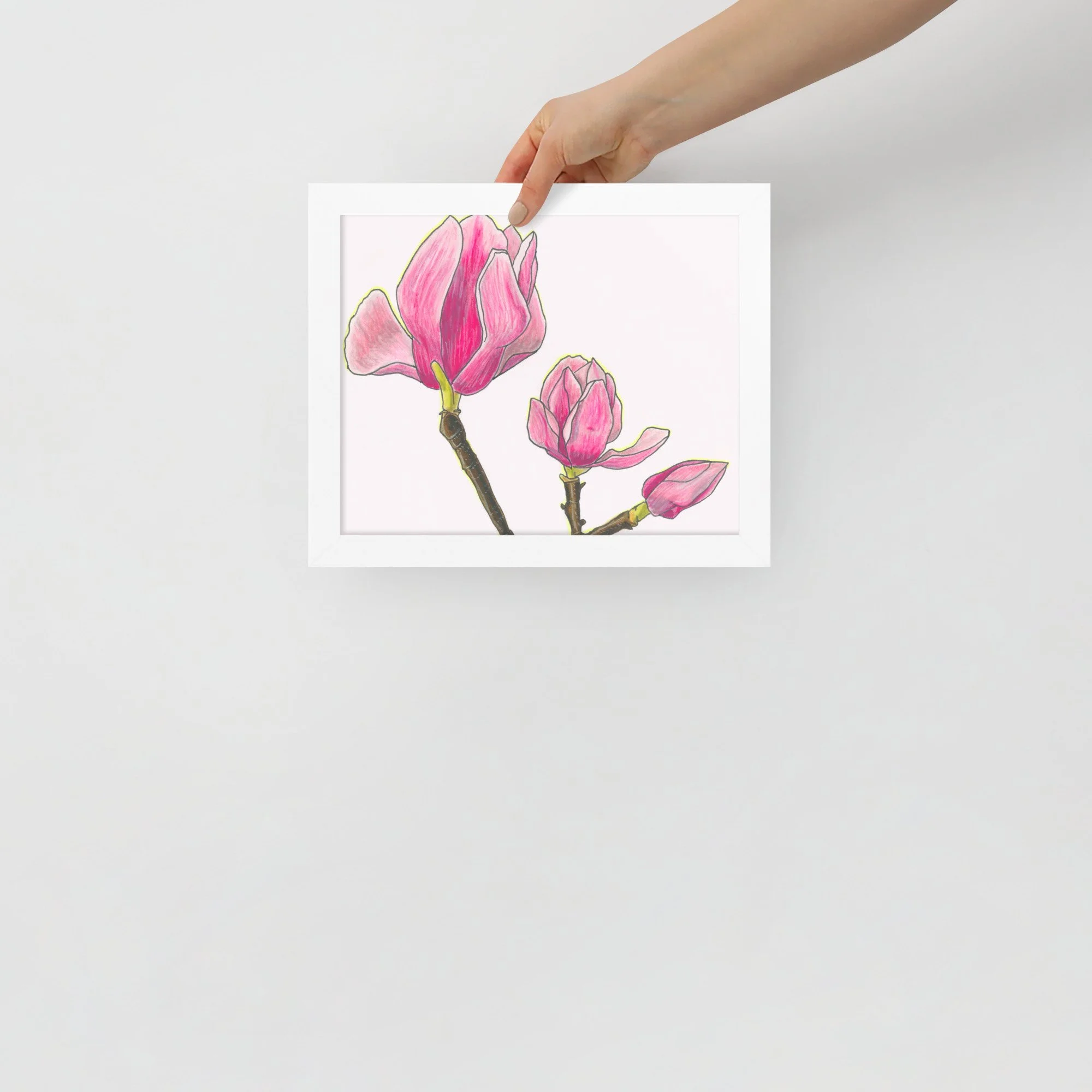 Pink Magnolia Framed Print