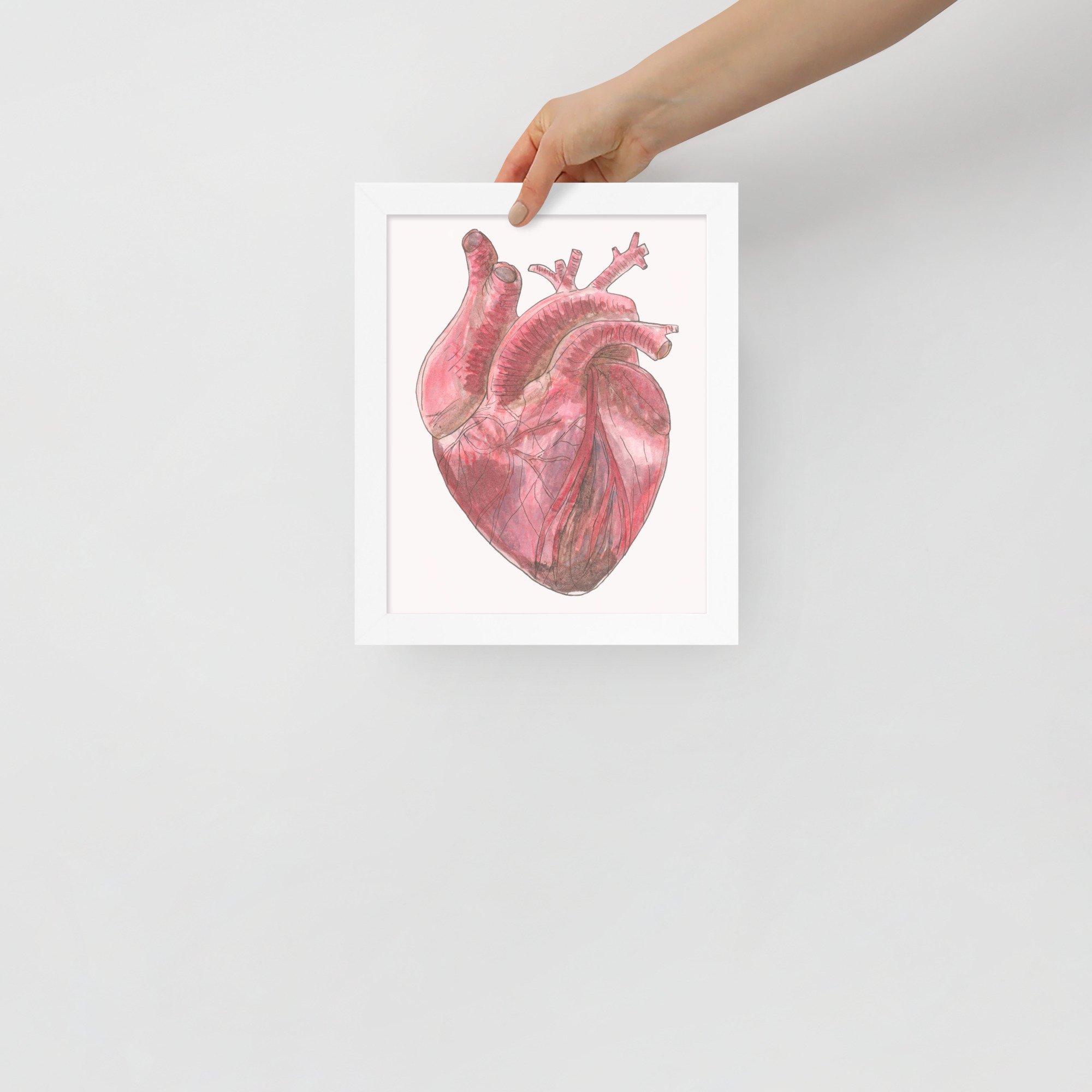 Anatomical Heart Framed Print