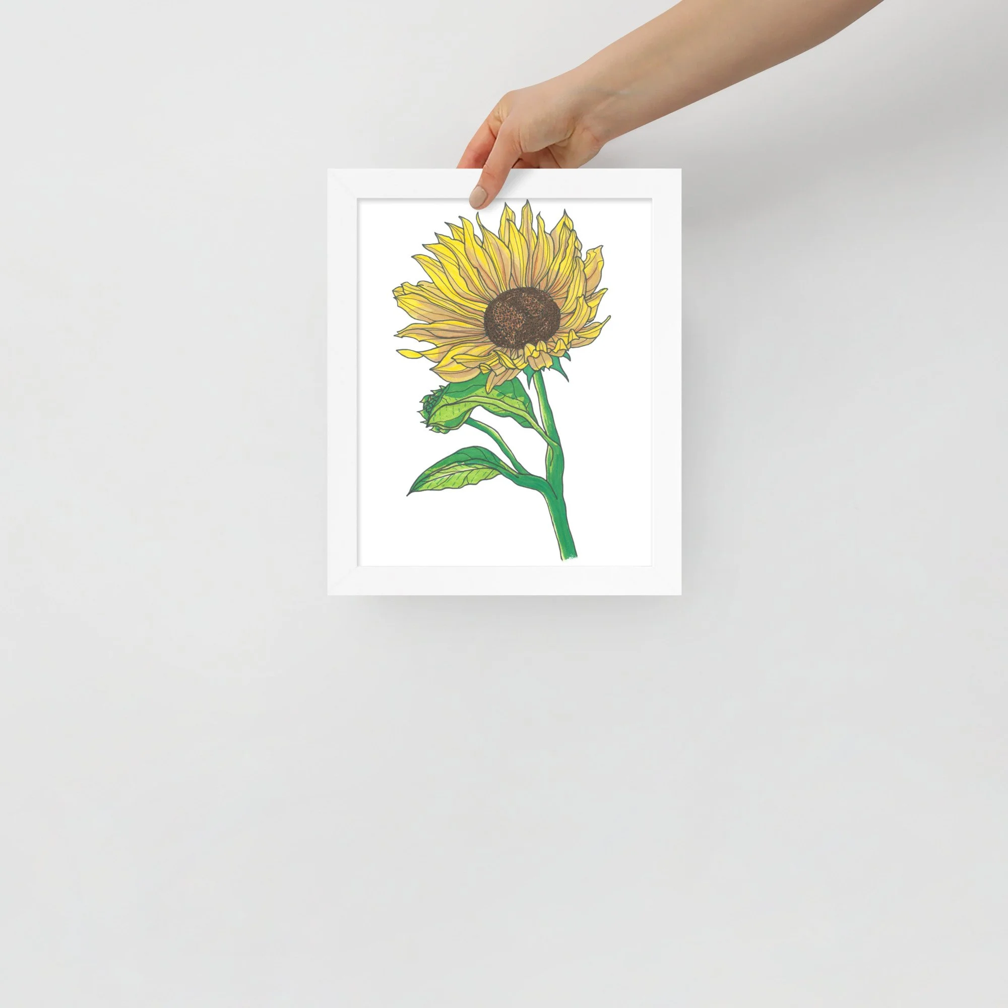 Sunflower Framed Print