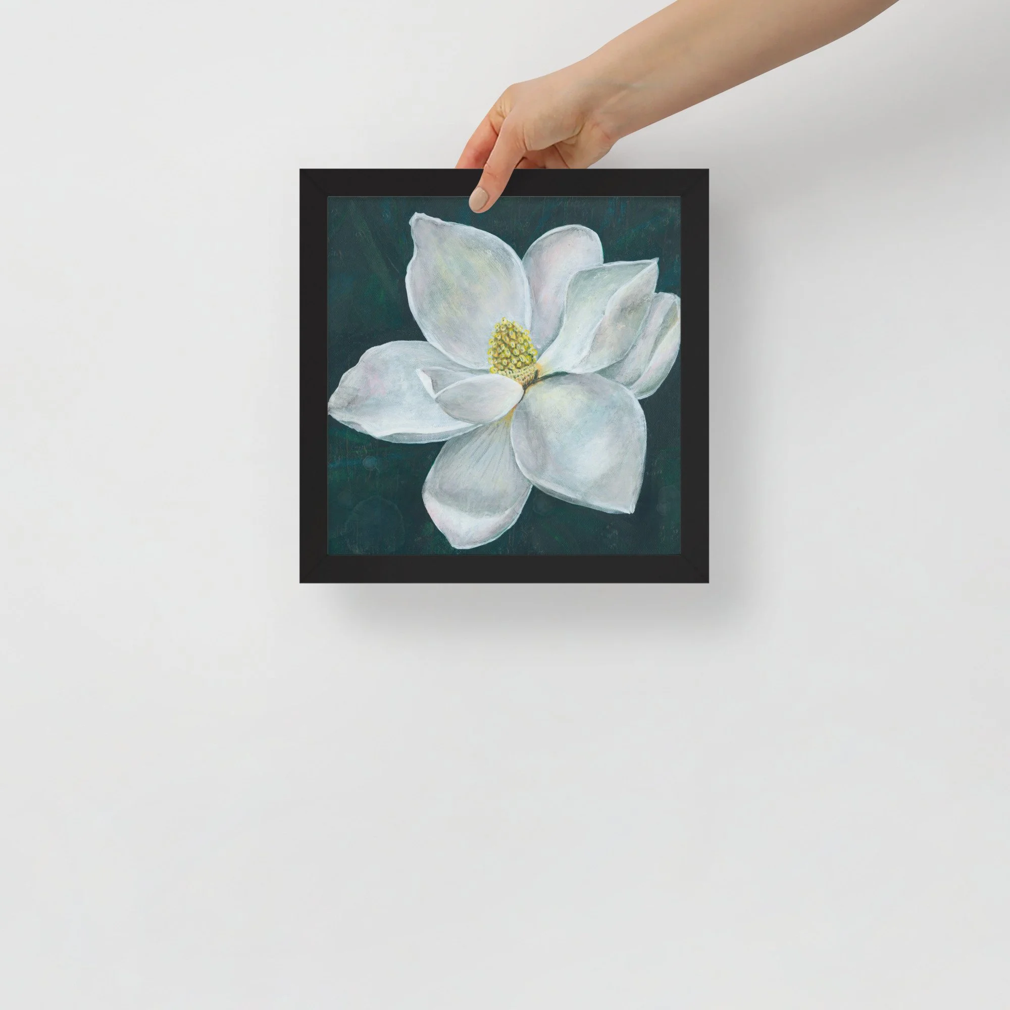 White Magnolia Framed Print
