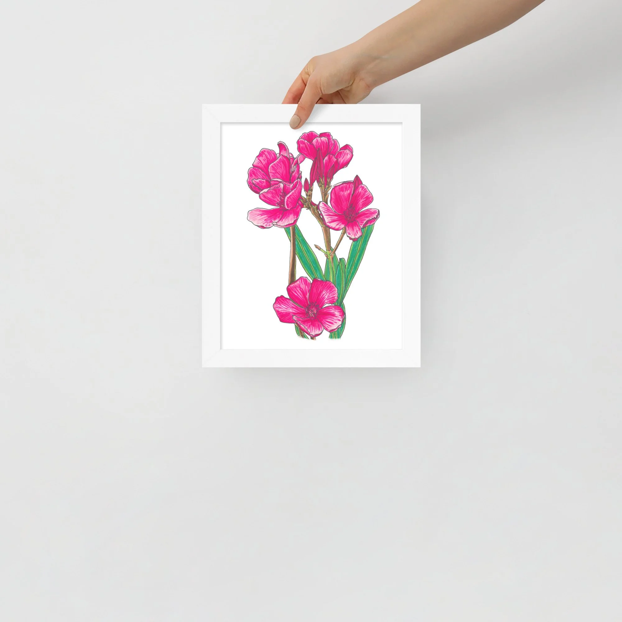 Calypso Oleander Framed Print