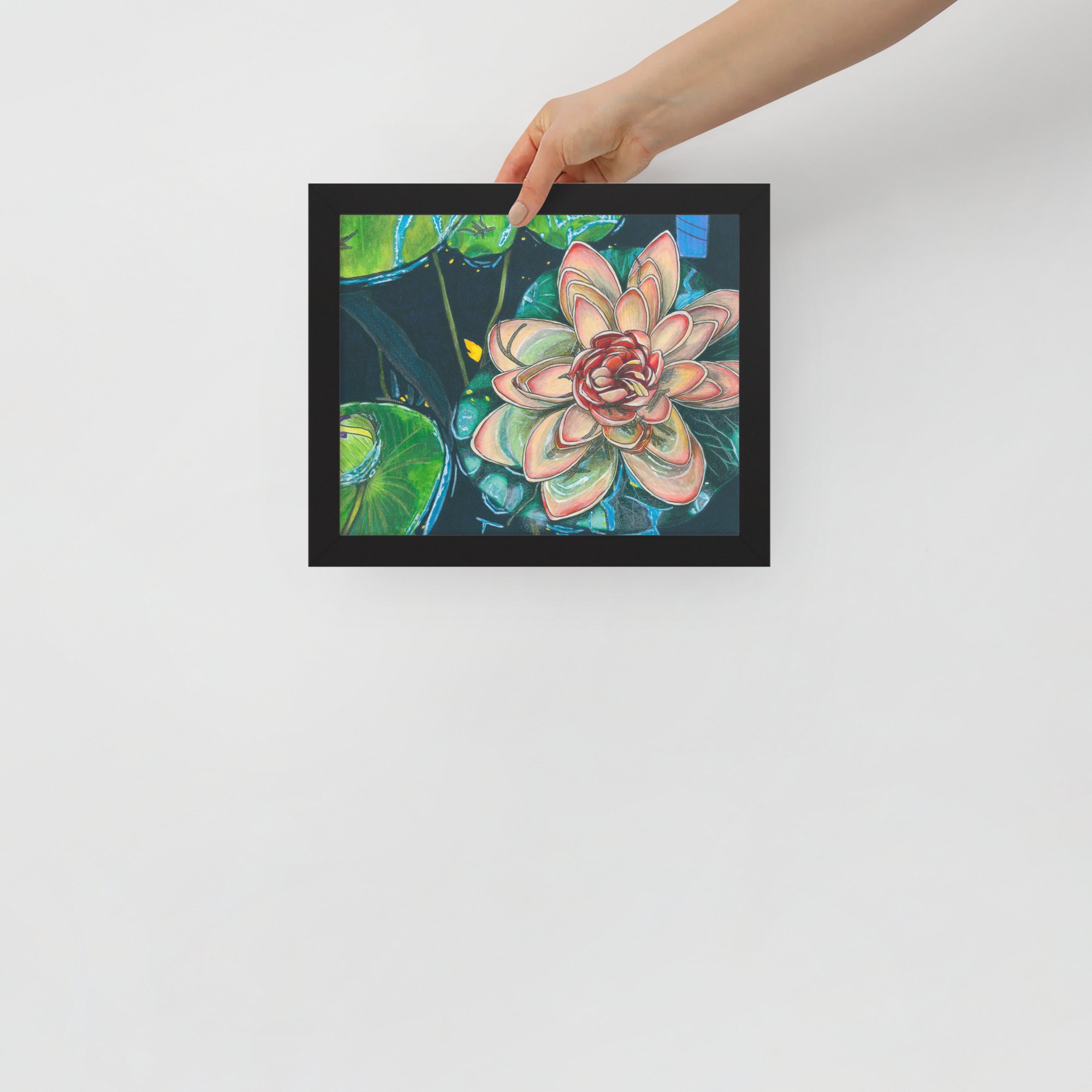 Water Lily Pads in Pond Framed Print
