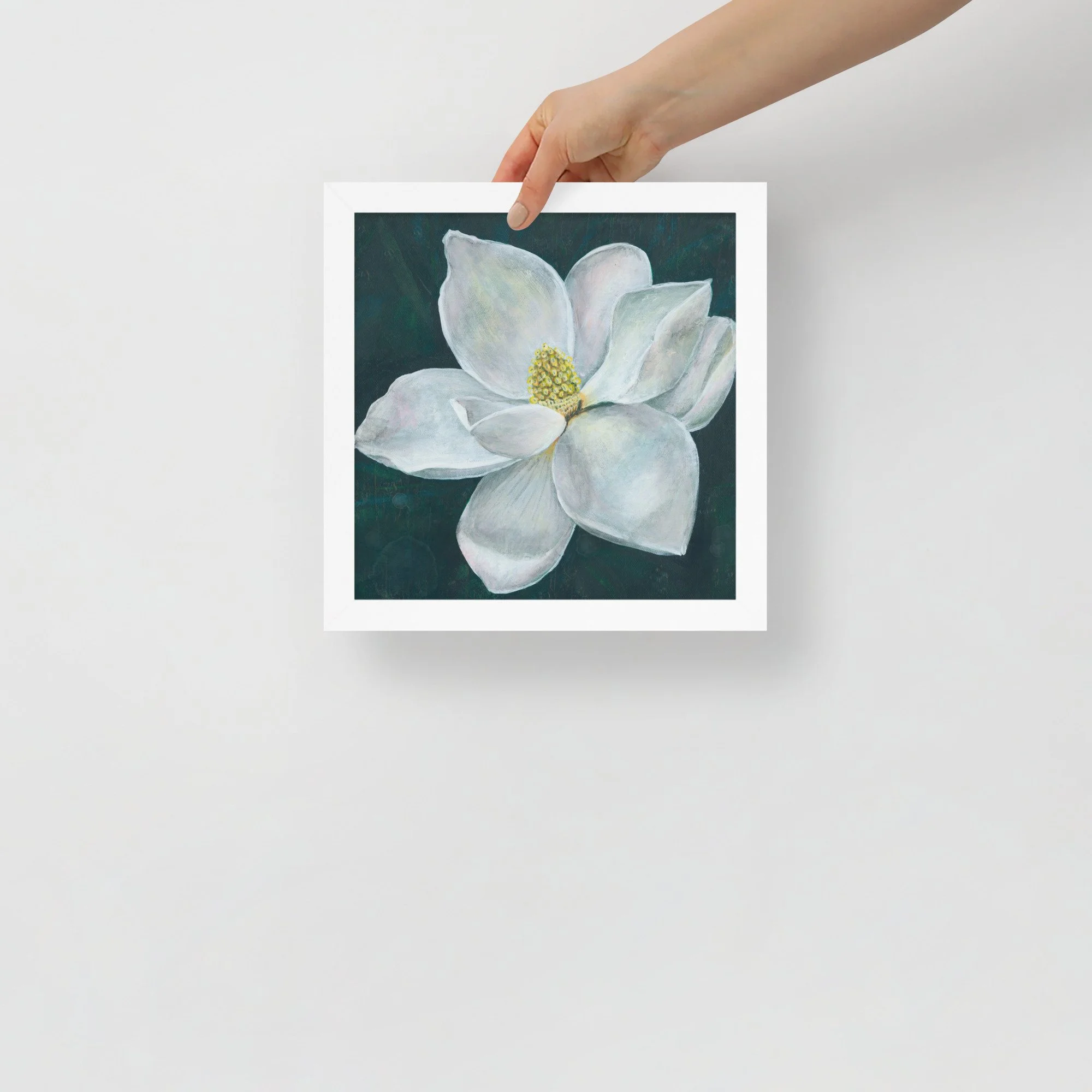 White Magnolia Framed Print