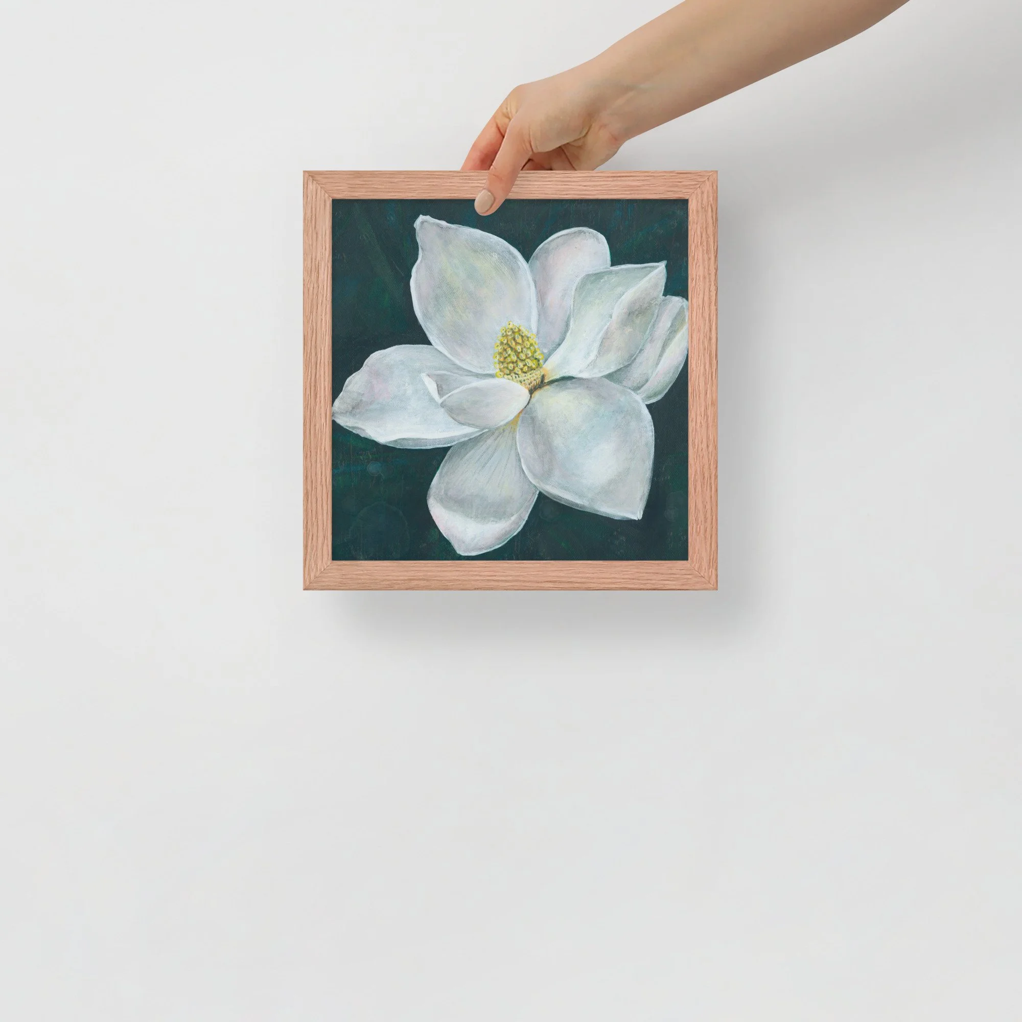 White Magnolia Framed Print