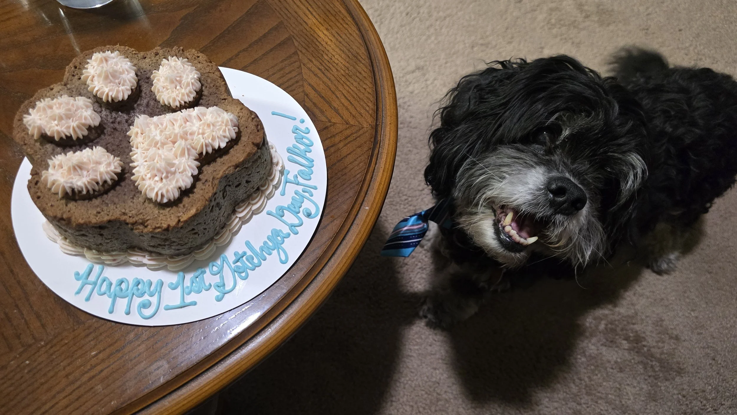 20260331_215852(0) (1).jpg