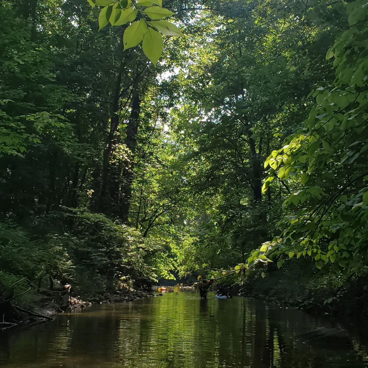 Back at our happy place. I sat my chair right in the middle of the creek and  caught up on a class and client notes while the boys caught big crawdads, dug in the mud, and floated up the creek. This creek makes us better.