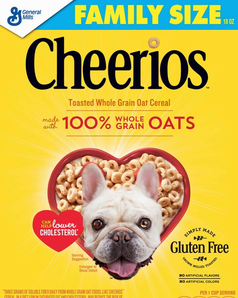 LIMITED EDITION - @cheerios x @cashewthefrenchie  dropping this month! ❤️ Make sure you get the family size so you can share these frenchie shaped oat nuggets with frens! 

Help me spread the pawsitivity: 
❤️TAG 3 friends
❤️SHARE to your story 

&bul