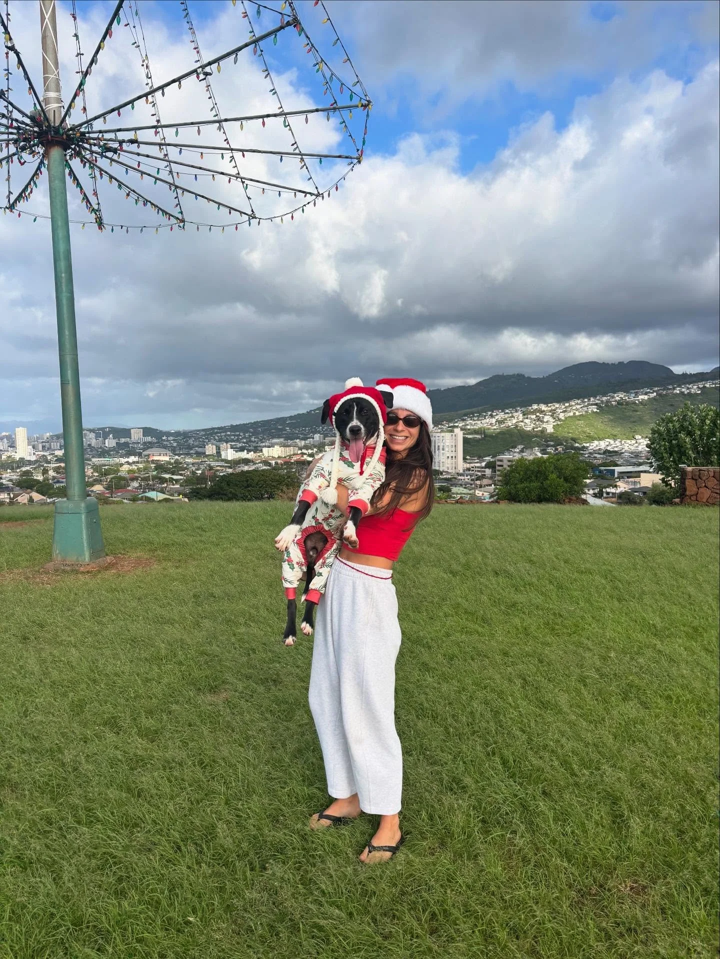 ❤️🤣💚

It&rsquo;s Santa&rsquo;s derpiest little helpers here to wish you Happy Holidays 🥰🫠

❤️ Poi + Duke forever ❤️

#puppylove #callmebyyourname #merrychristmas