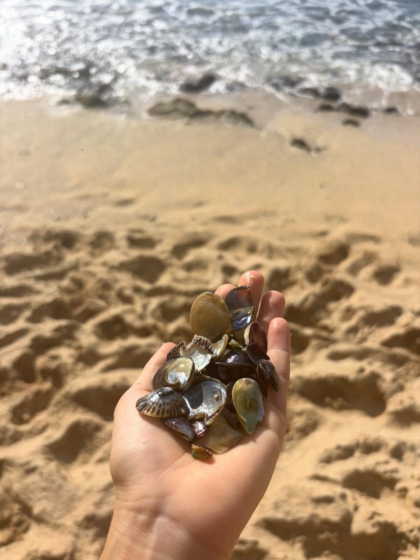 opihi, ice palace, and a seafood masterpiece 

Life lately 🤍🤍🤍

What&rsquo;s bringing you joy this season?