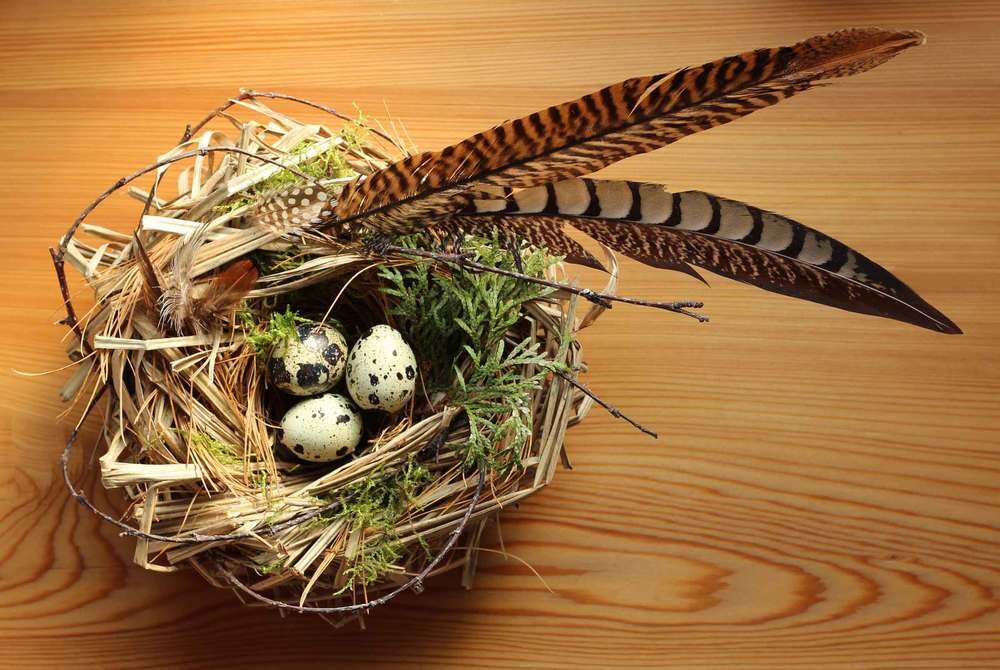 bird nest craft ideas — Journal Blog — Thread & Whisk