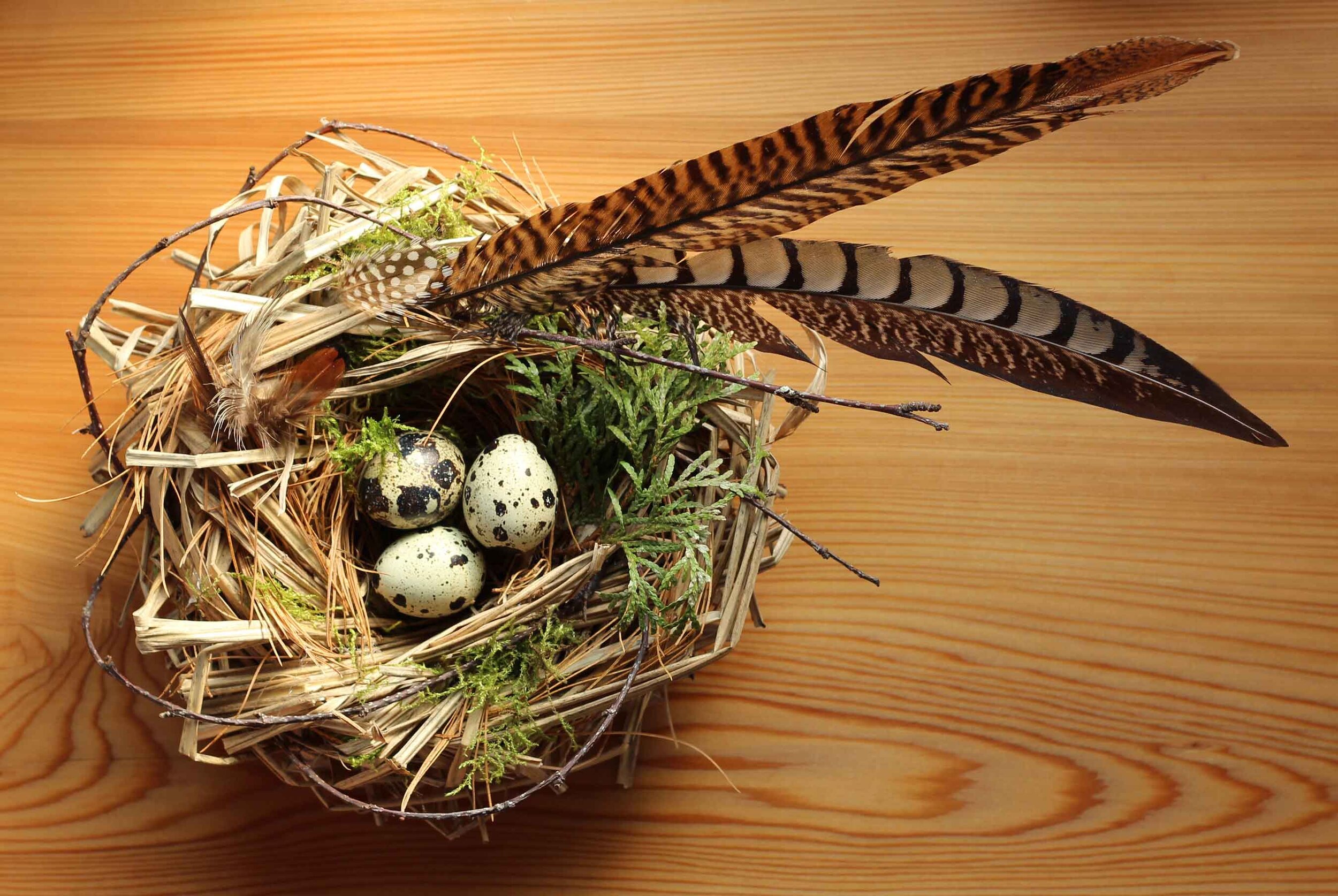 Handmade Natural Bird Nest — Thread & Whisk