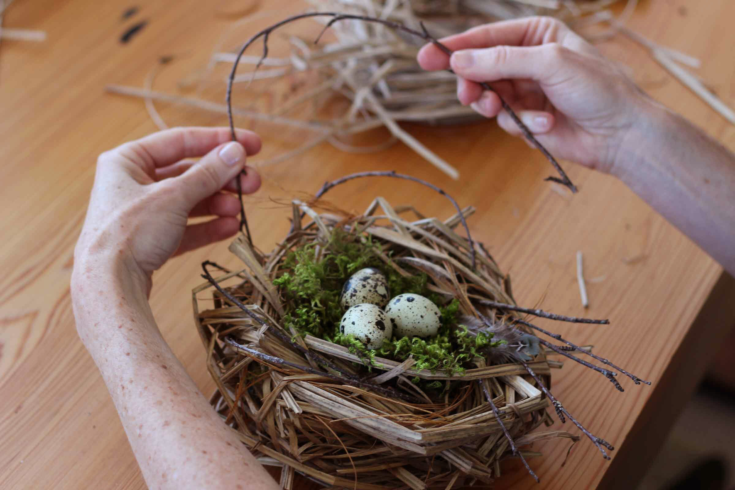6cm Wild Grass Nest Bird Nest House Handmade Vine Nature for Candies Eggs 