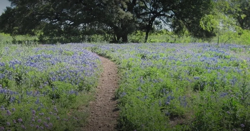 Event or venue photo for McAllister Park (In The Loop Run Crew) in San Antonio