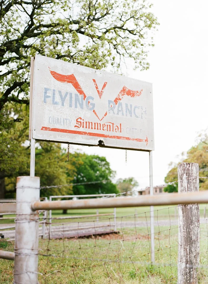   Kelly Costello Photography  