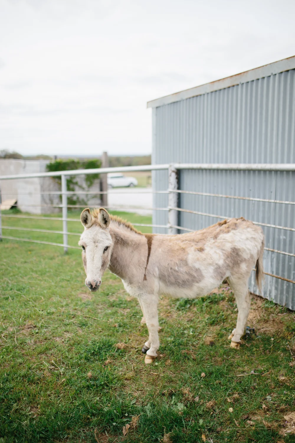   Monica KRC Photography  