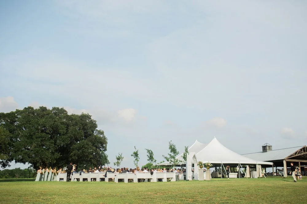   N Barrett Photography  