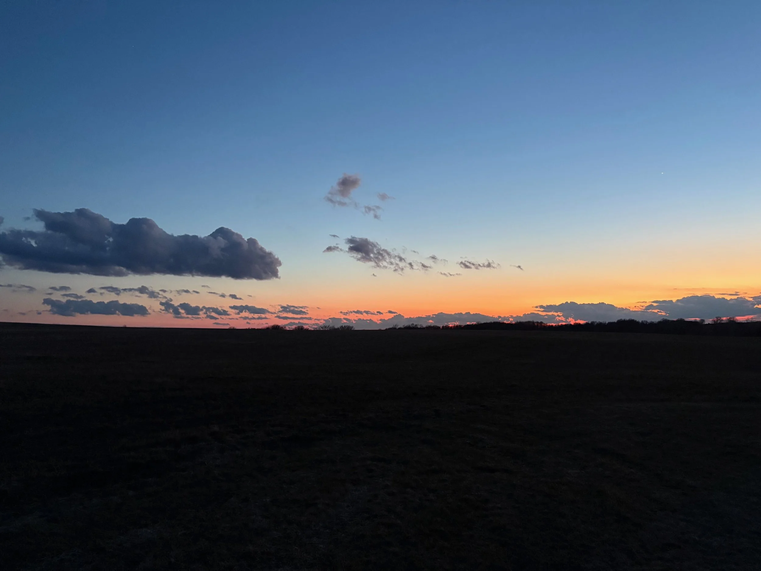 My 2026 Permission Slips