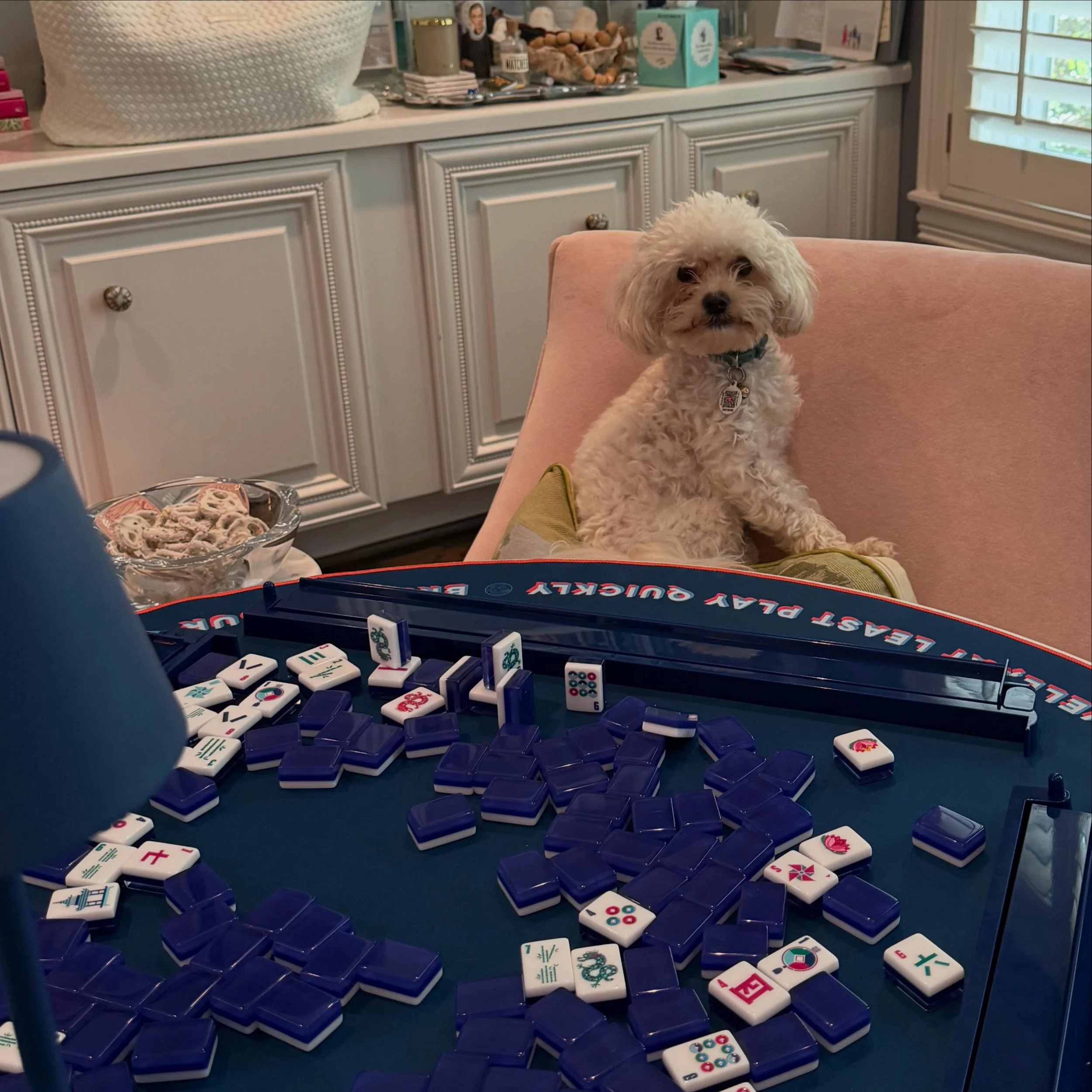 Butters did not get Mahjong today and got pissed and then ate some of the snacks. #mahjong @jonathanadler @themahjongline
