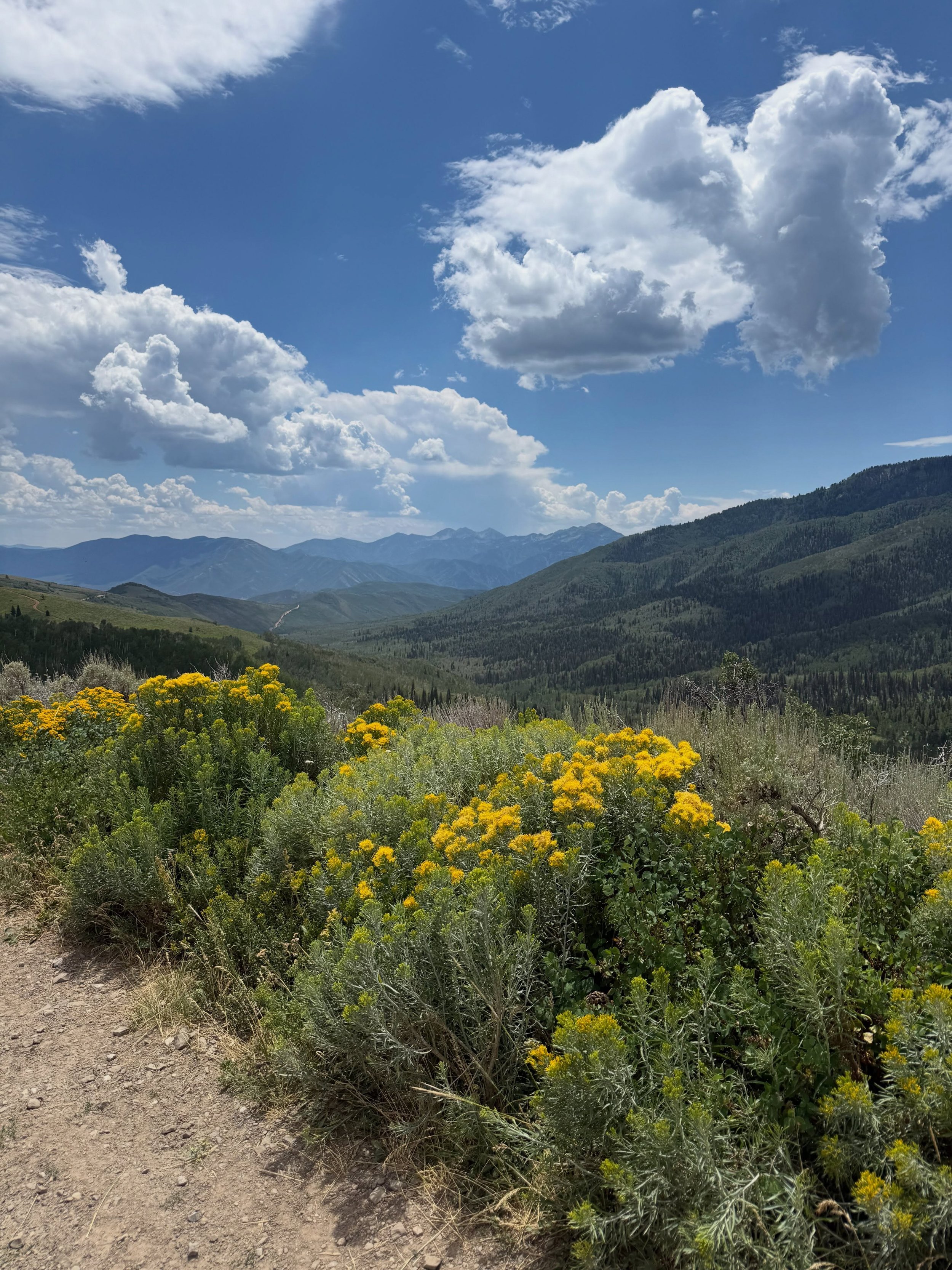 Many of my friends are posting this and I am following suit: I&rsquo;m asking those who love the outdoors to post a picture. A picture that YOU took. Just a pic. No description. The goal is to regain peace and harmony without negativity. Ultimately c