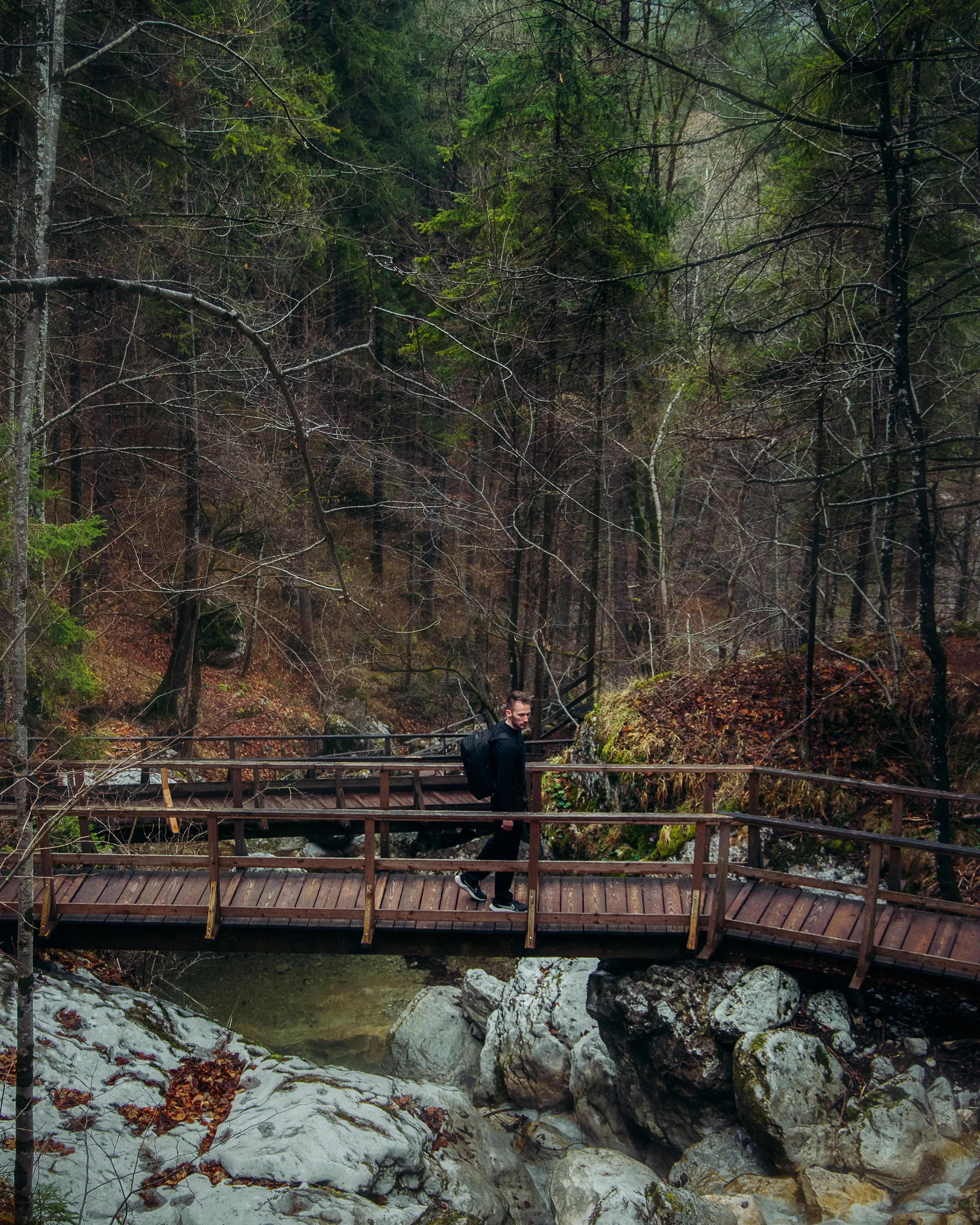 UnboundMerino-March-1.jpg