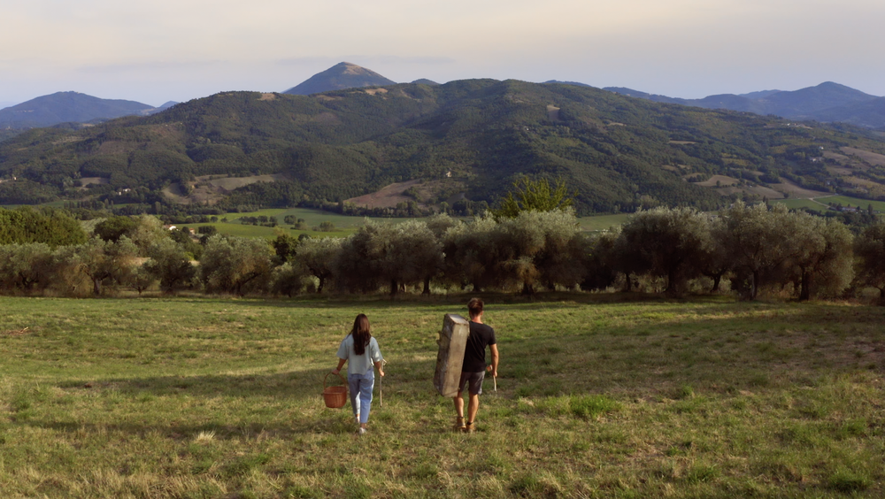 Two people walking in a grassy field towards olive trees, with a mountainous landscape in the background.