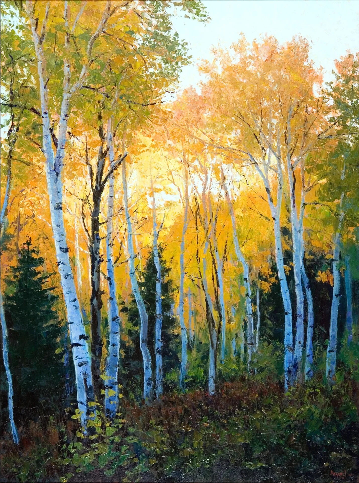 Fall in Aspens 