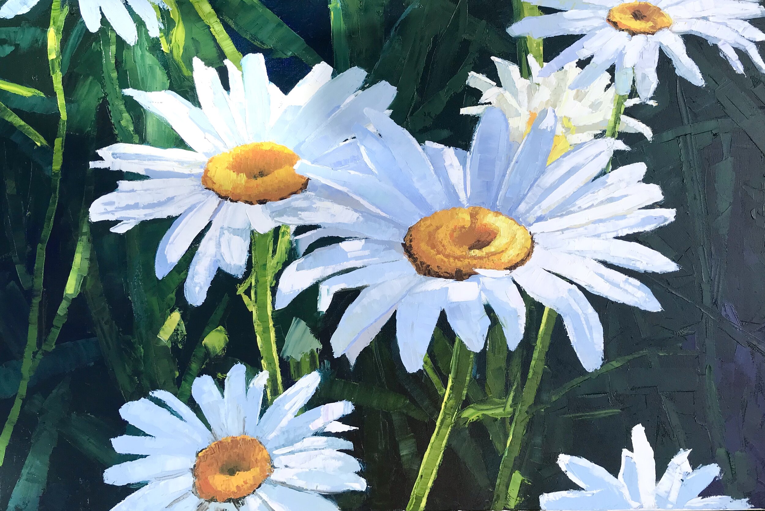 Shasta Dasies 36x24.jpeg