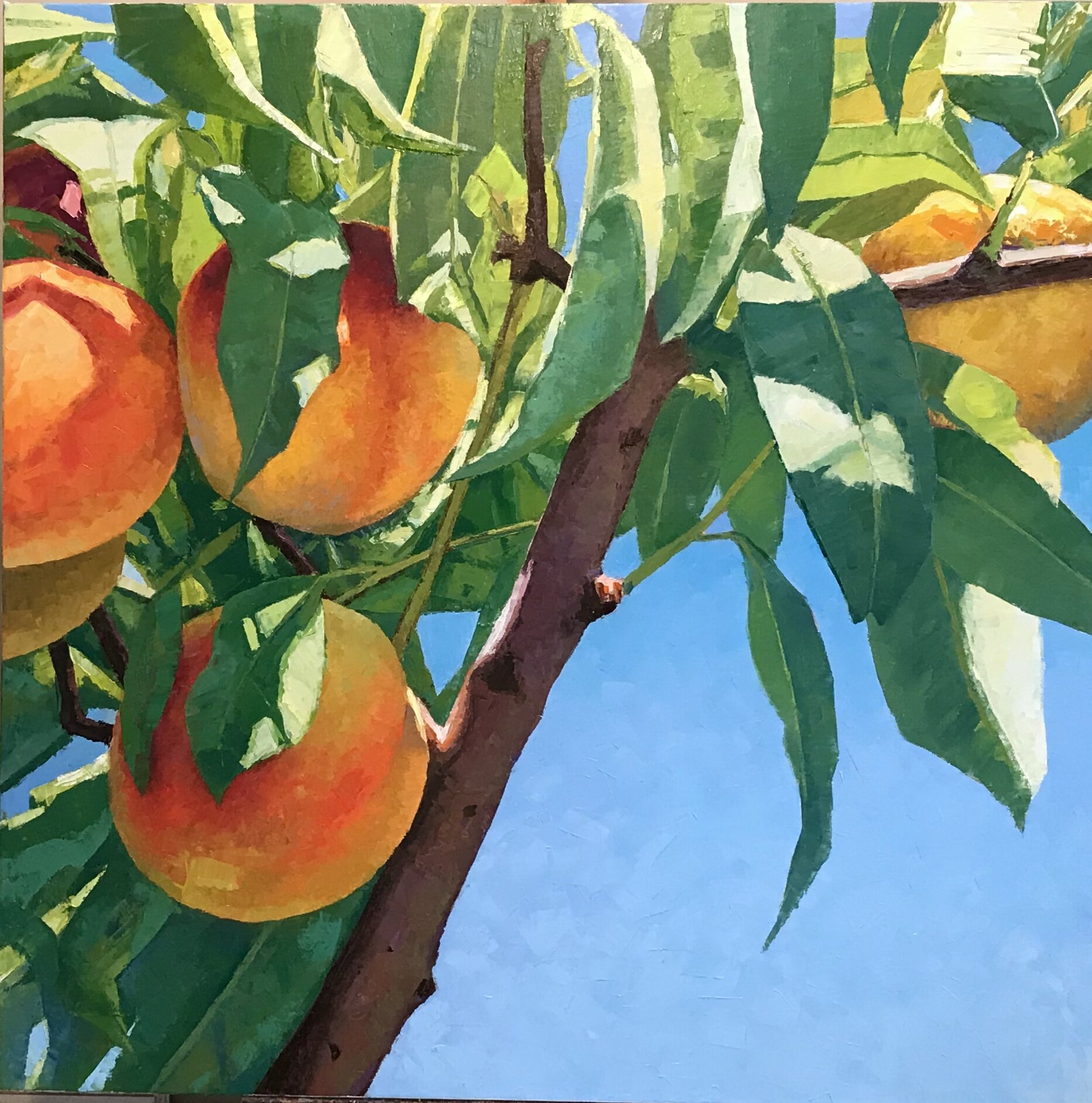 Ripe Peaches 36x36.jpeg