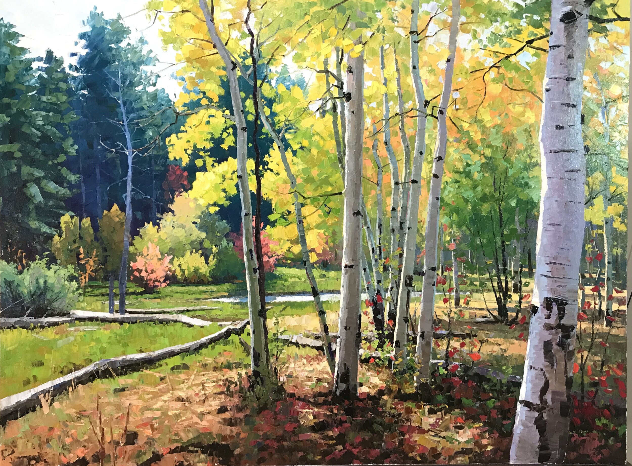 Hidden Spring 36x48.jpeg