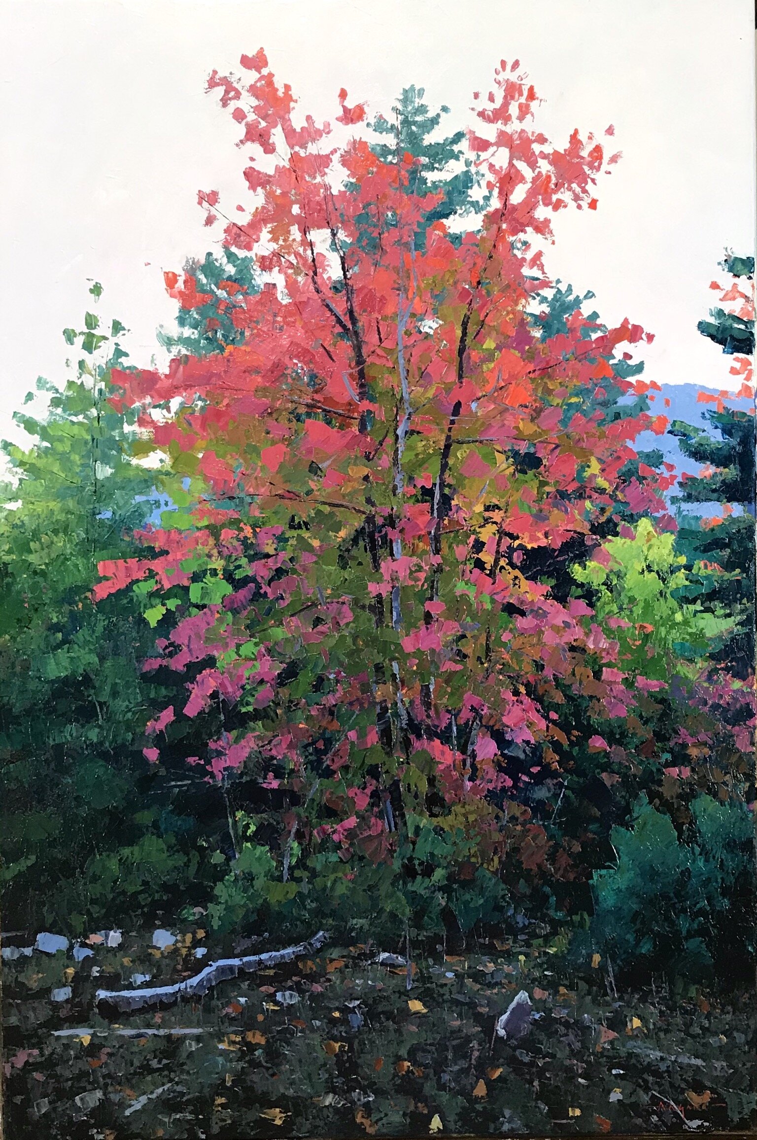 Dawn 36x24.jpeg