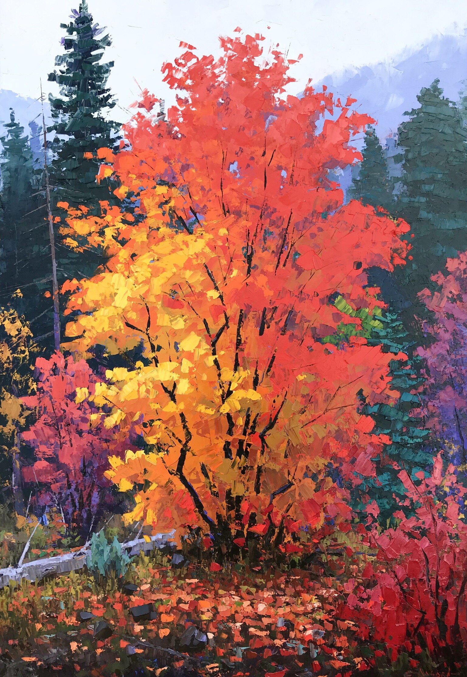 Light in the Forest 36x24. Original Oil Painting by, Utah Artist Douglas Aagard