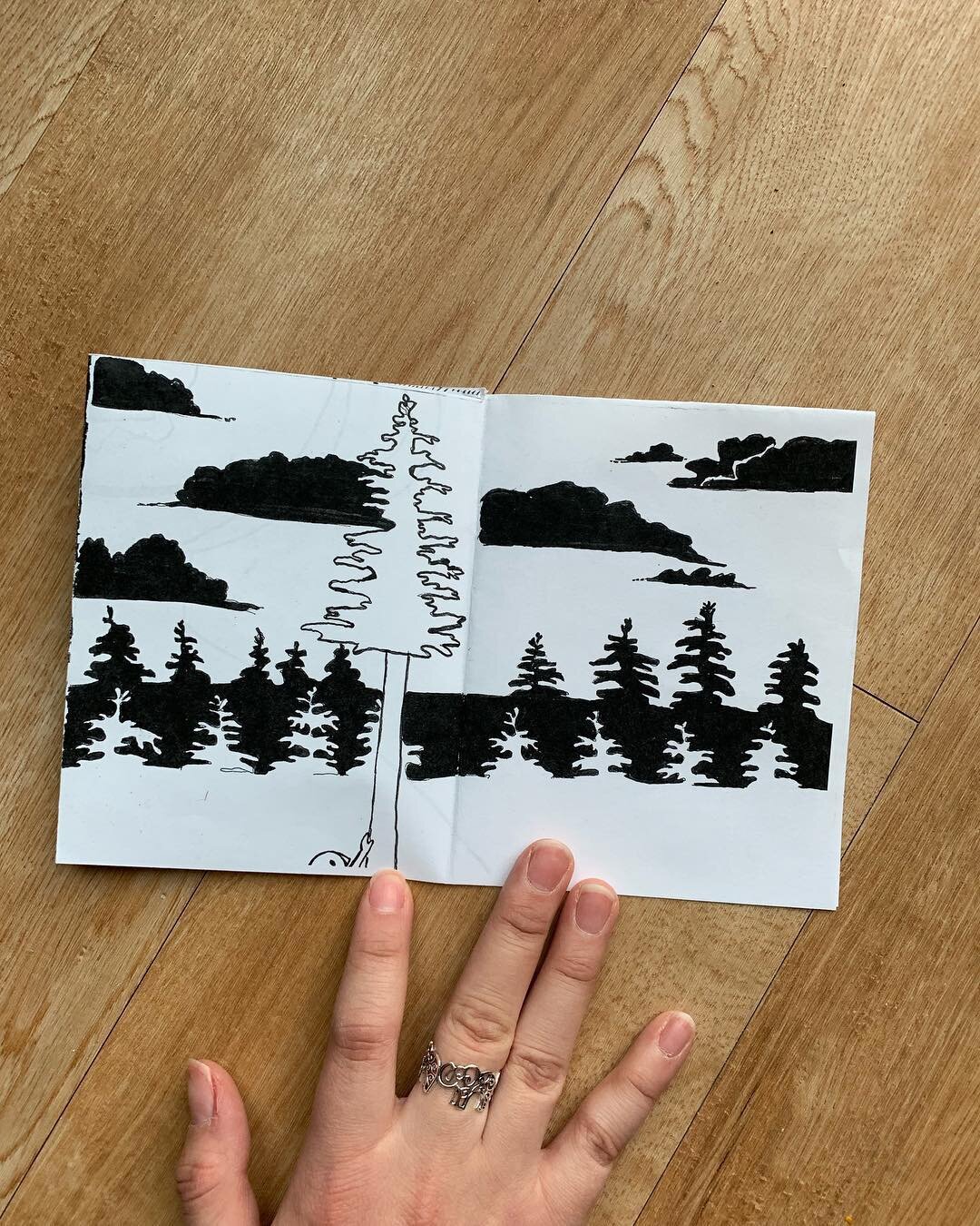 fifth and sixth pages